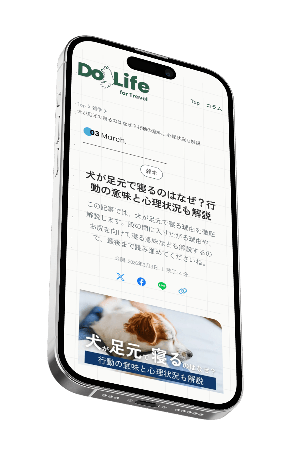 DogLife Column の画面イメージ