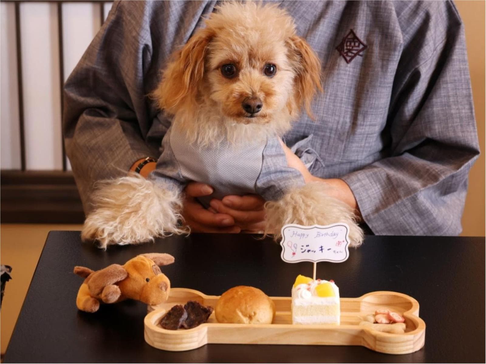 【愛犬のAnniversary】わんちゃん主役の記念日｜選べるおもちゃ＆デザートワゴン特典｜基本会席 画像1