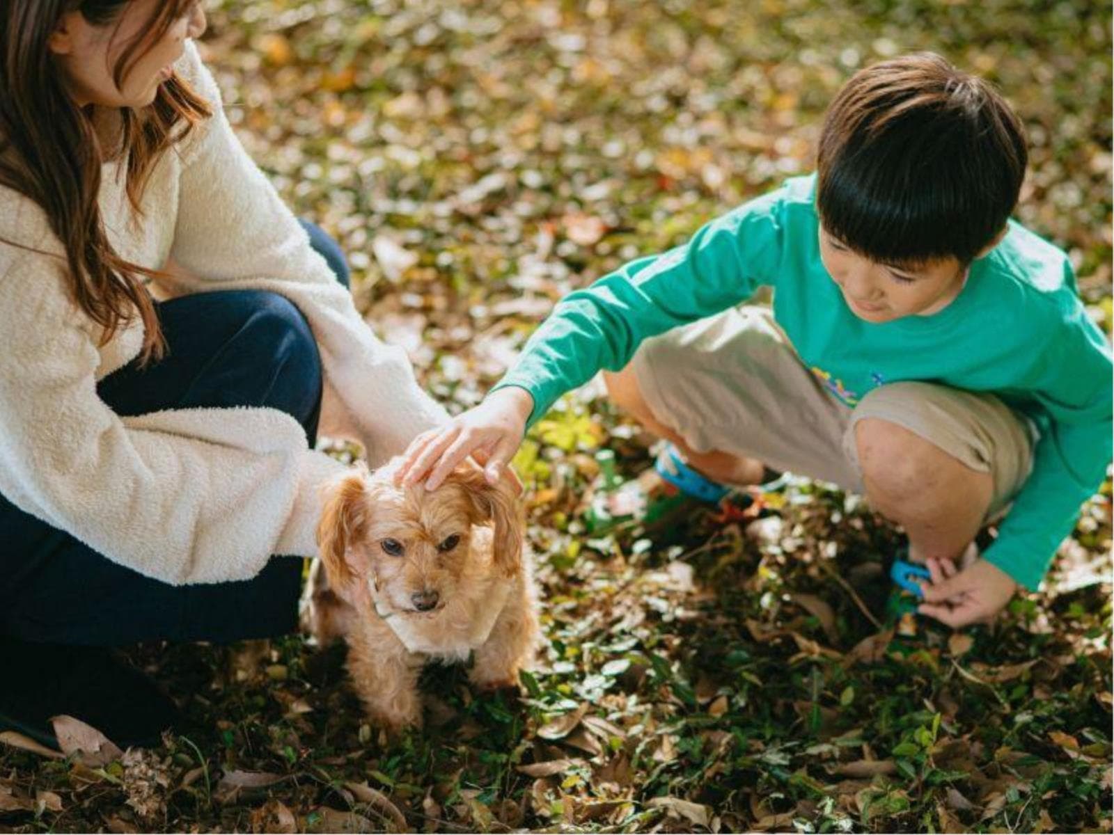 Dog Wellness Resort Stay 　―犬と人が自然に還る温泉旅―　1泊朝食付 画像3