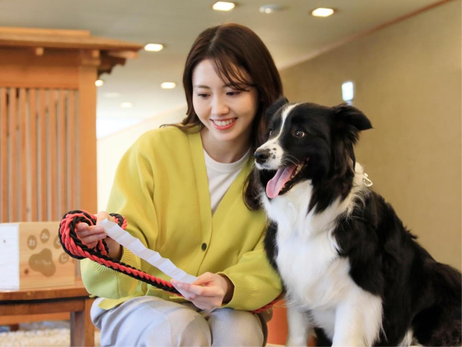 【早期割×豚しゃぶ鍋】特別価格＆愛犬利用料無料！人気の日程もお得に♪＜★豚しゃぶ＆ハーフビュッフェ＞ 画像1