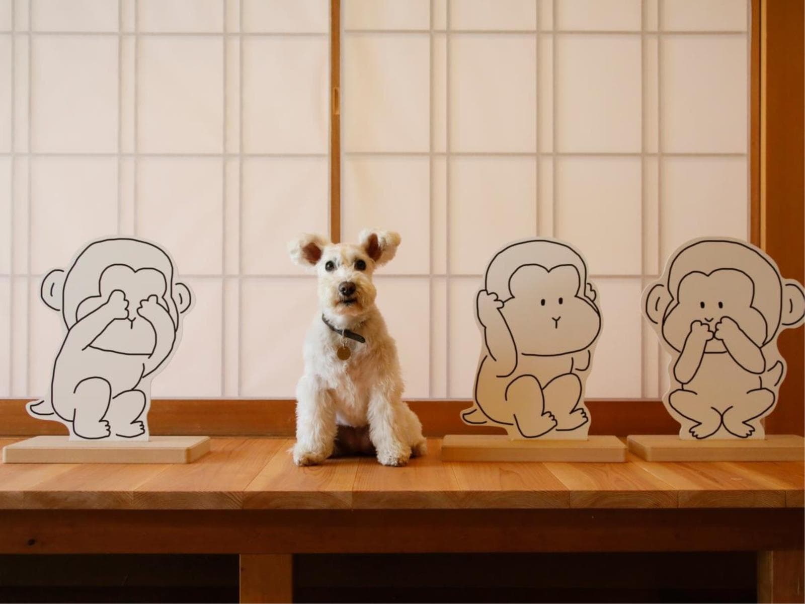 【早期割×豚しゃぶ鍋】特別価格＆愛犬利用料無料！人気の日程もお得に♪＜★豚しゃぶ＆ハーフビュッフェ＞ 画像5