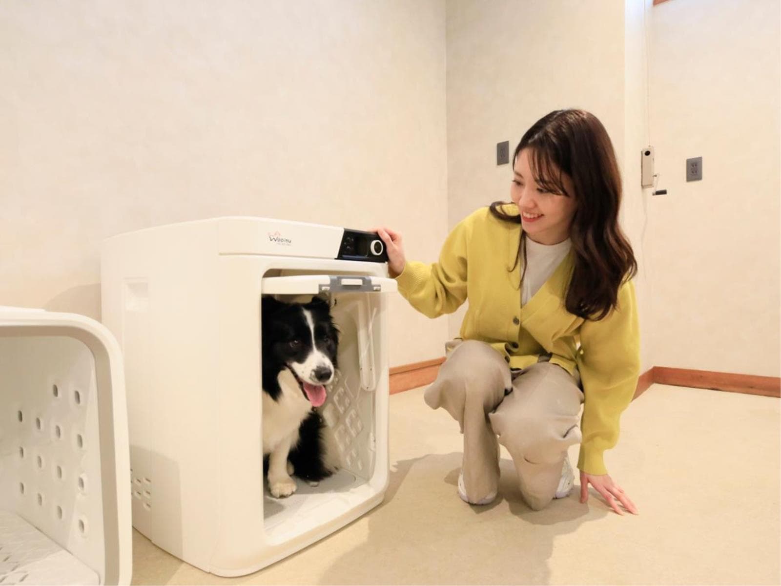 【鶏鍋】お気軽＆カジュアルプランで愛犬と和のぬくもりを堪能する温泉旅＜▼鶏鍋＆ハーフビュッフェ＞ 画像4