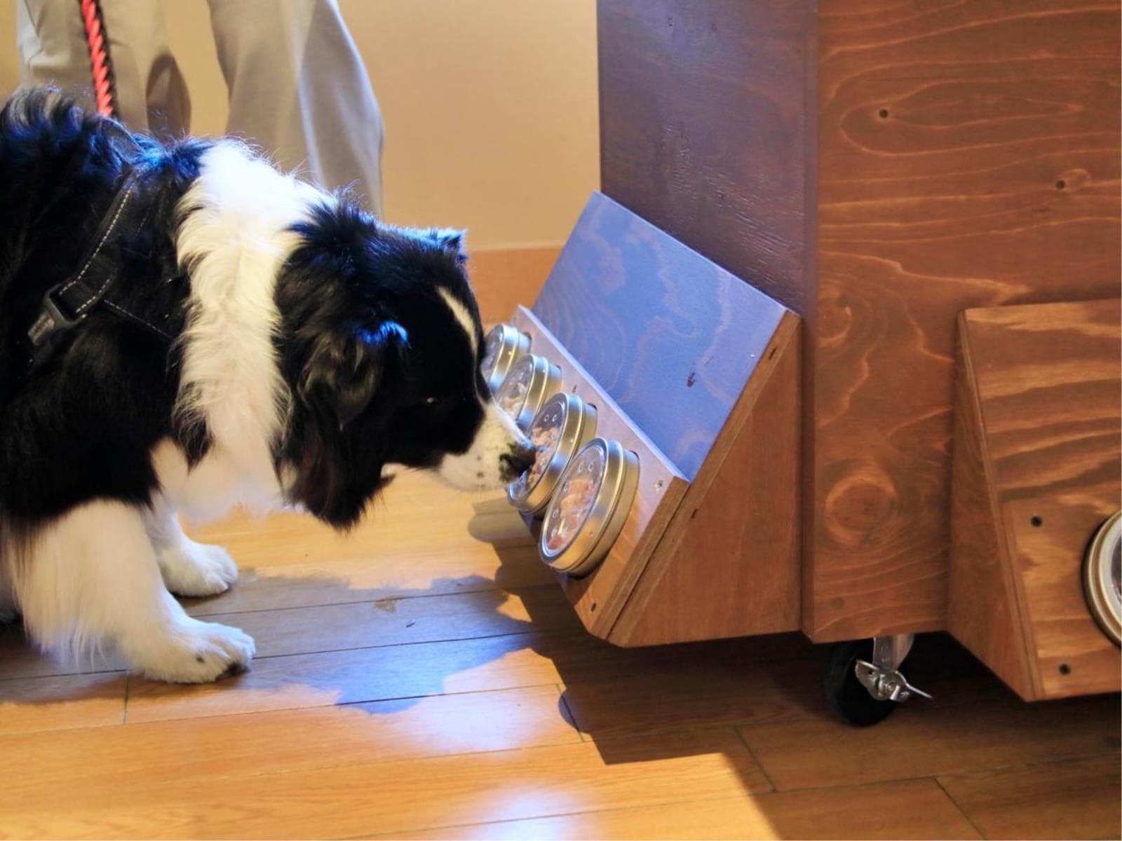 【ライト鍋御膳】お気軽＆カジュアルプラン！愛犬と和のぬくもり旅を満喫＜▽ライト御膳＞ 画像5
