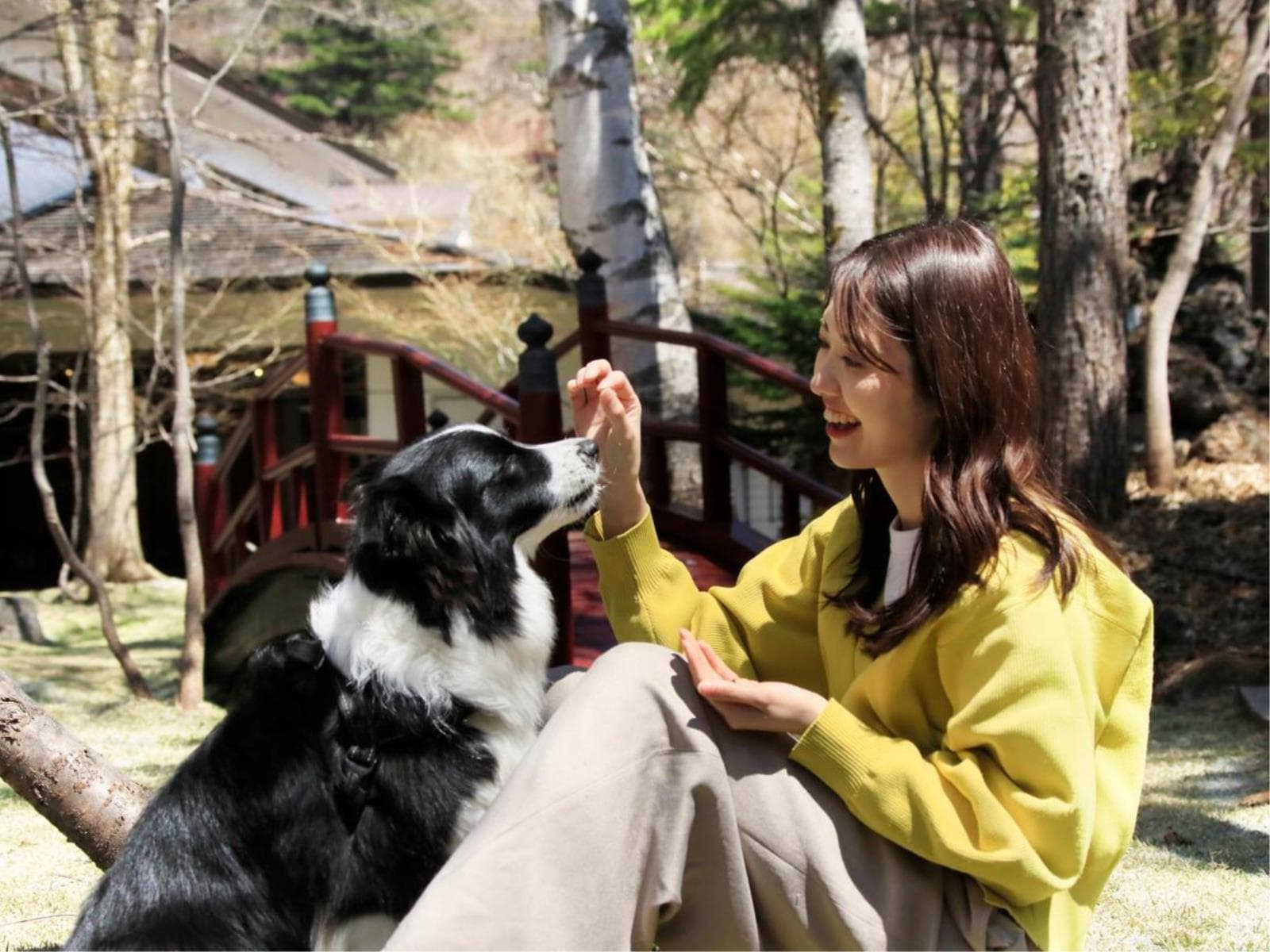 【半露天風呂付き客室確約】≪最大20％OFF≫愛犬とほっこりステイ＜■牛しゃぶ鍋＆ハーフビュッフェ＞ 画像5