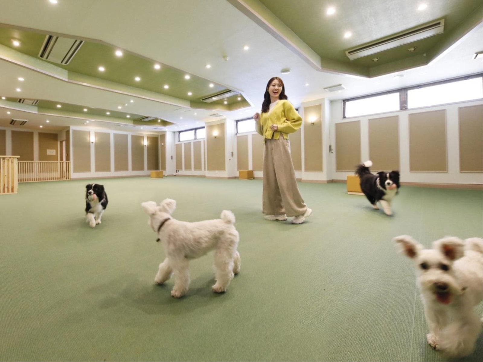 【夕食のみ】朝は愛犬とゆっくり過ごしたい方や日光観光を楽しみたい方にオススメ＜☆基本鍋御膳＞ 画像4