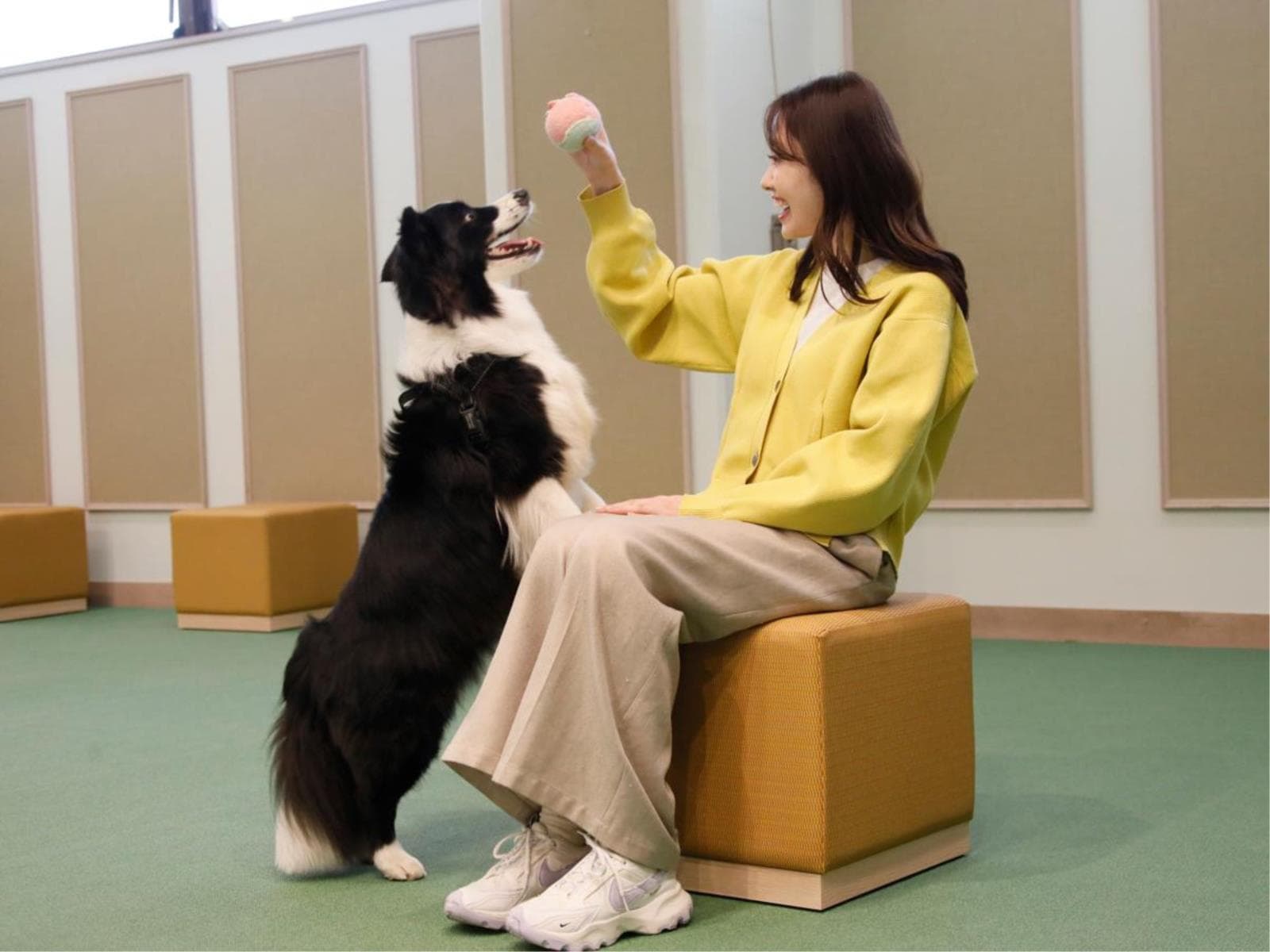 【夏旅タイムセール】≪最大20％OFF≫日本庭園ドッグランやお部屋で愛犬とゆったり旅＜☆基本鍋御膳＞ 画像1