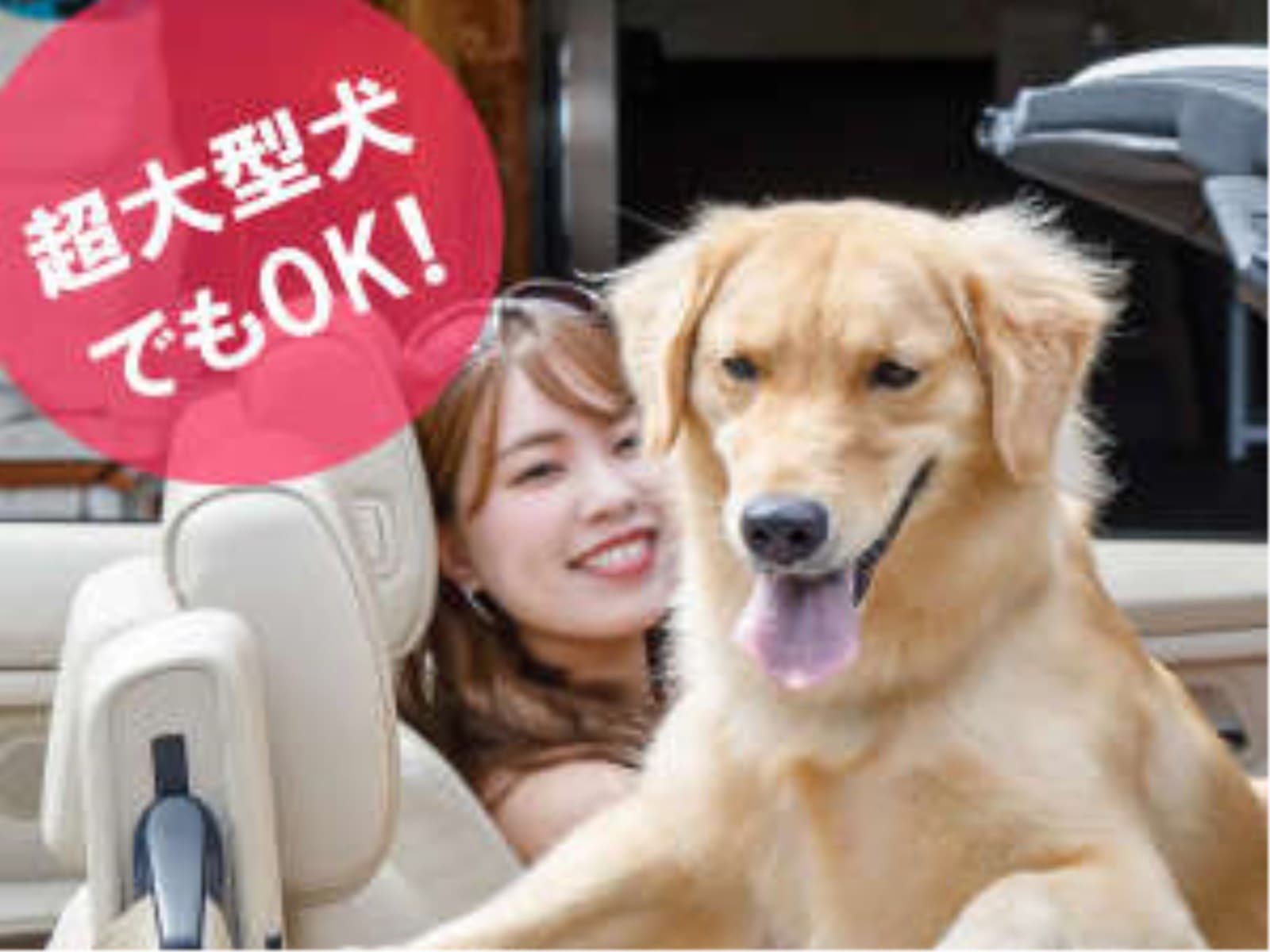 【スタンダード】※別館グラティス・体重制限なし※　1泊2食「半個室」夕食＆ラウンジ飲み放題＋お夜食付 画像2