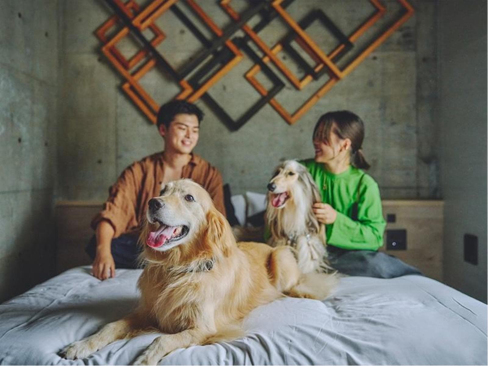 客室