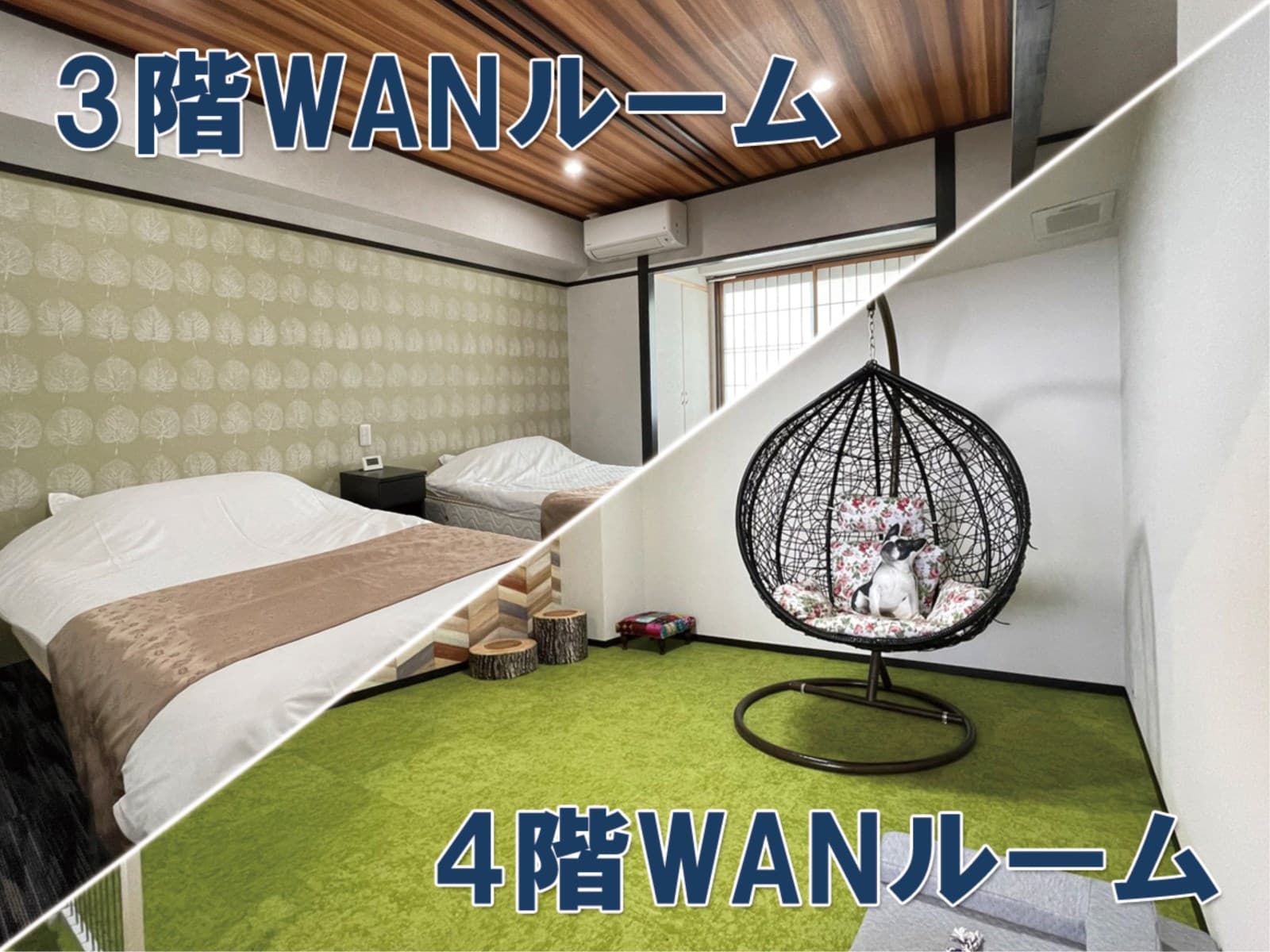 【1日3組限定】夕食時オールインクルーシブ★ワンちゃんのための快適「WANルーム」にご宿泊♪ 画像1