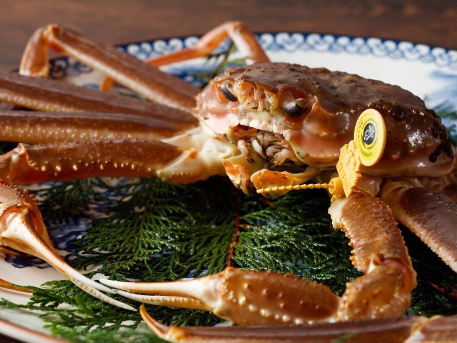 【新鮮ズワイガニづくし】お手頃に冬満喫♪近海産ズワイガニを刺身・焼き・鍋で味わう！ 画像2