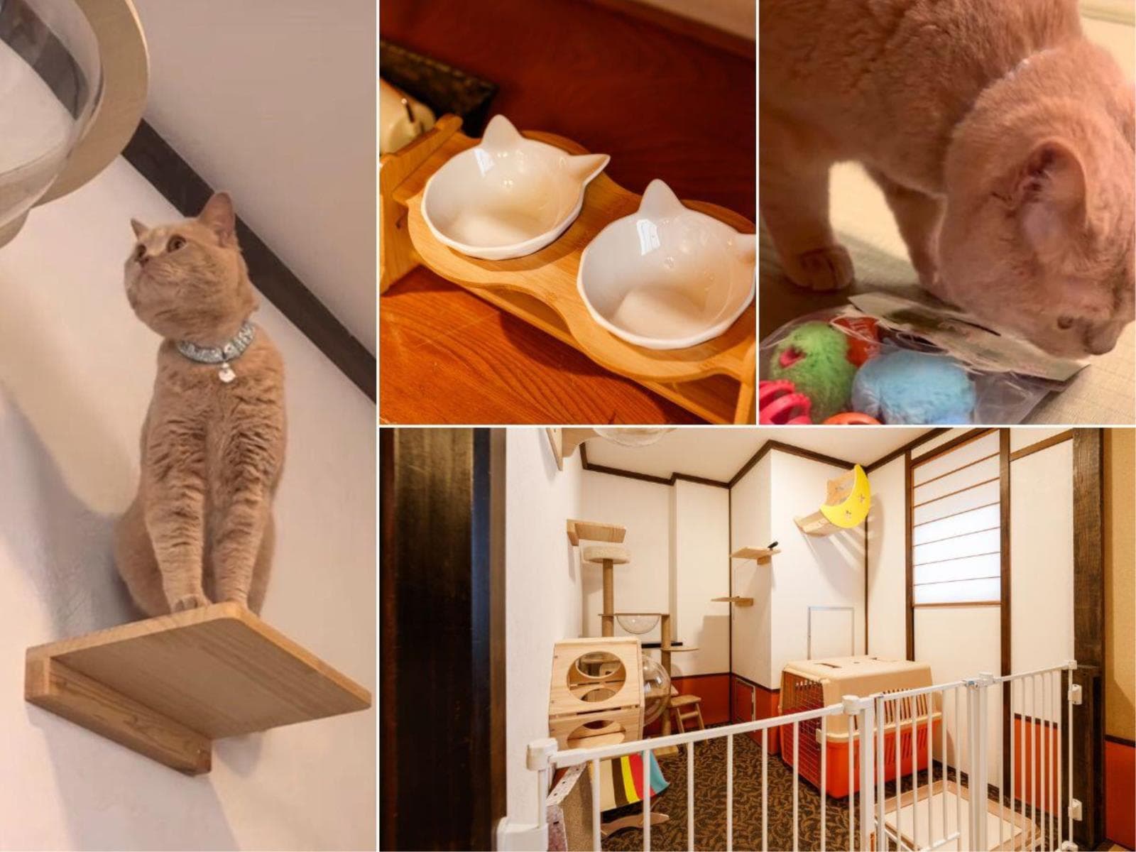 【夏旅タイムセール】10％オフ★月香の定番！迷ったらこちらを♪夕食は月替わり会席 画像5