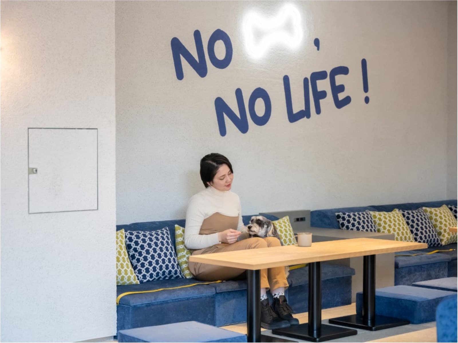 【タイムセール】スタンダードプラン＜　朝食付　＞　～　二条城前駅徒歩3分　愛犬が主役のホテル　～ 画像5