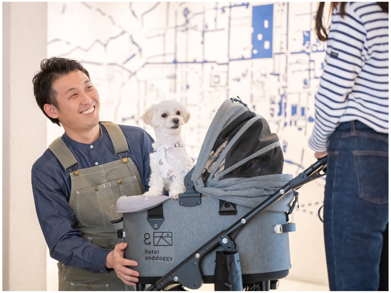 【タイムセール】スタンダードプラン＜　素泊り　＞　～　二条城前駅徒歩3分　愛犬が主役のホテル　～ 画像3