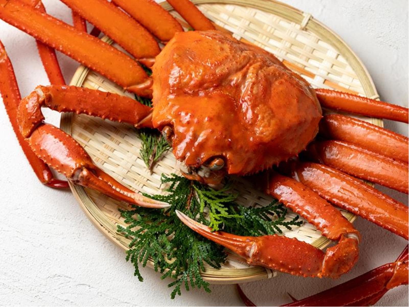 早ガニ紅ズワイ姿見丸ごと一杯付きプラン 画像1