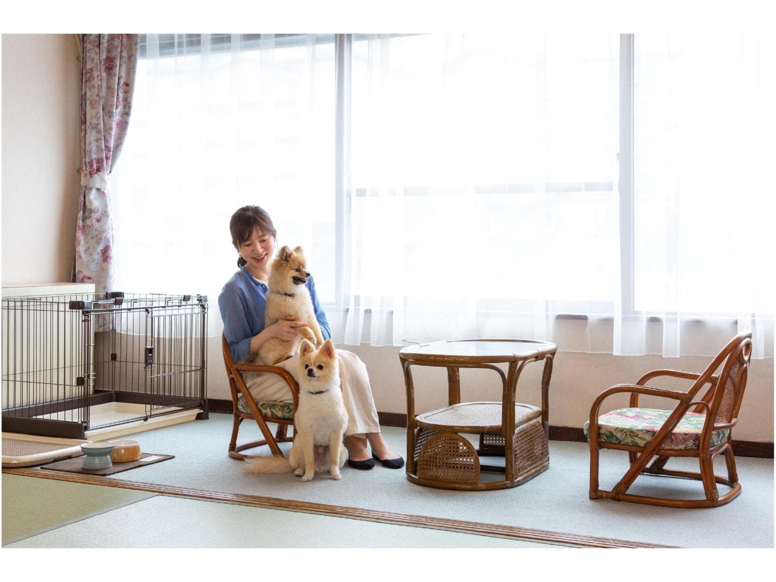 初めてご利用になるわんちゃんへおすすめ☆スタンダードプラン【個室】夕食バイキング朝食ハーフバイキング 画像2