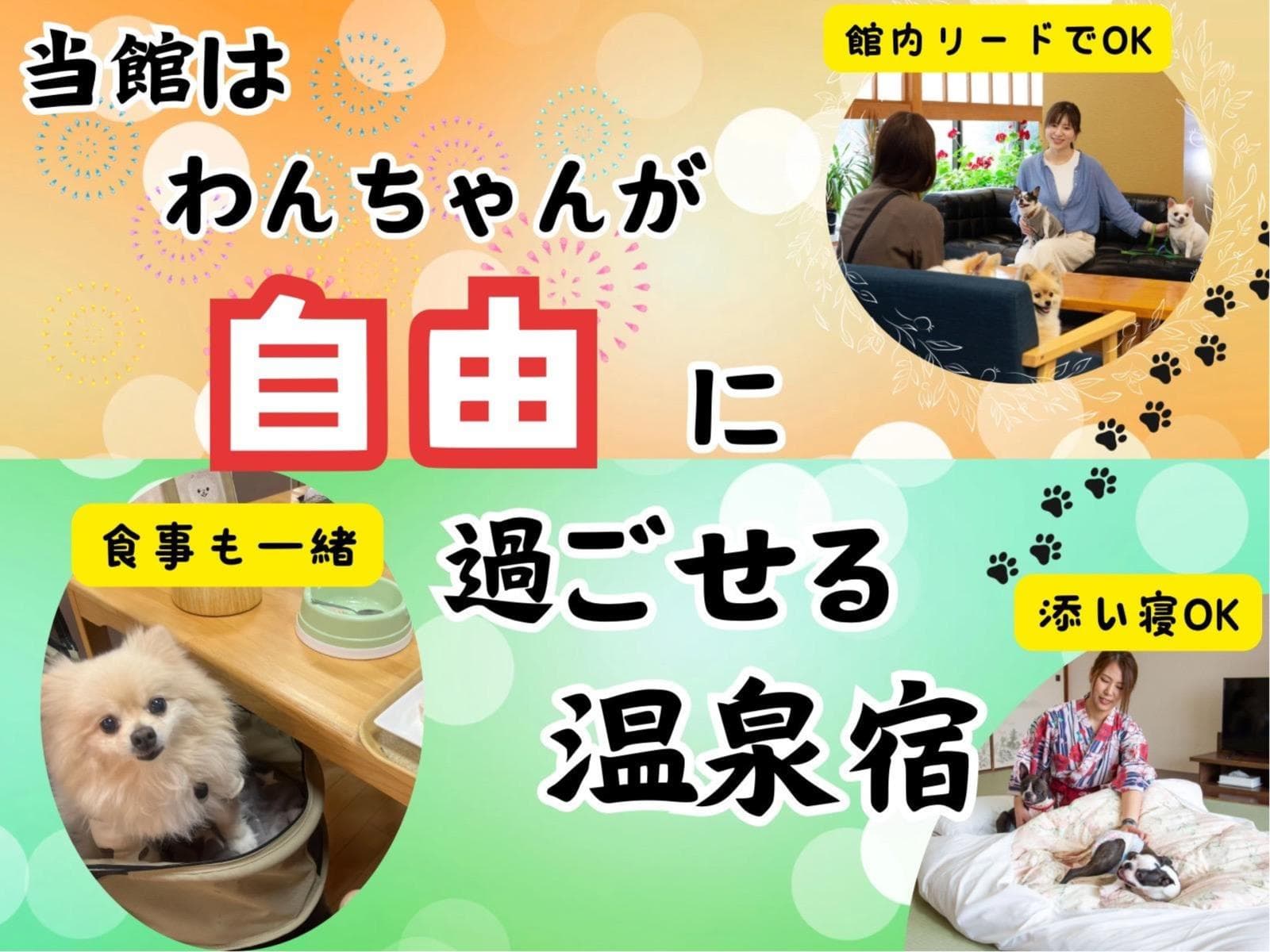初めてご利用になるわんちゃんへおすすめ☆スタンダードプラン【個室】夕食バイキング朝食ハーフバイキング 画像1