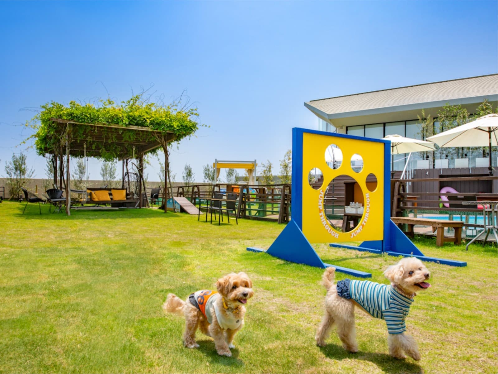 ＜飲み放題付＞2部屋限定！長崎県産和牛しゃぶしゃぶ！ワンちゃんと夕食・専用ドリンクバー付個室会場！ 画像2