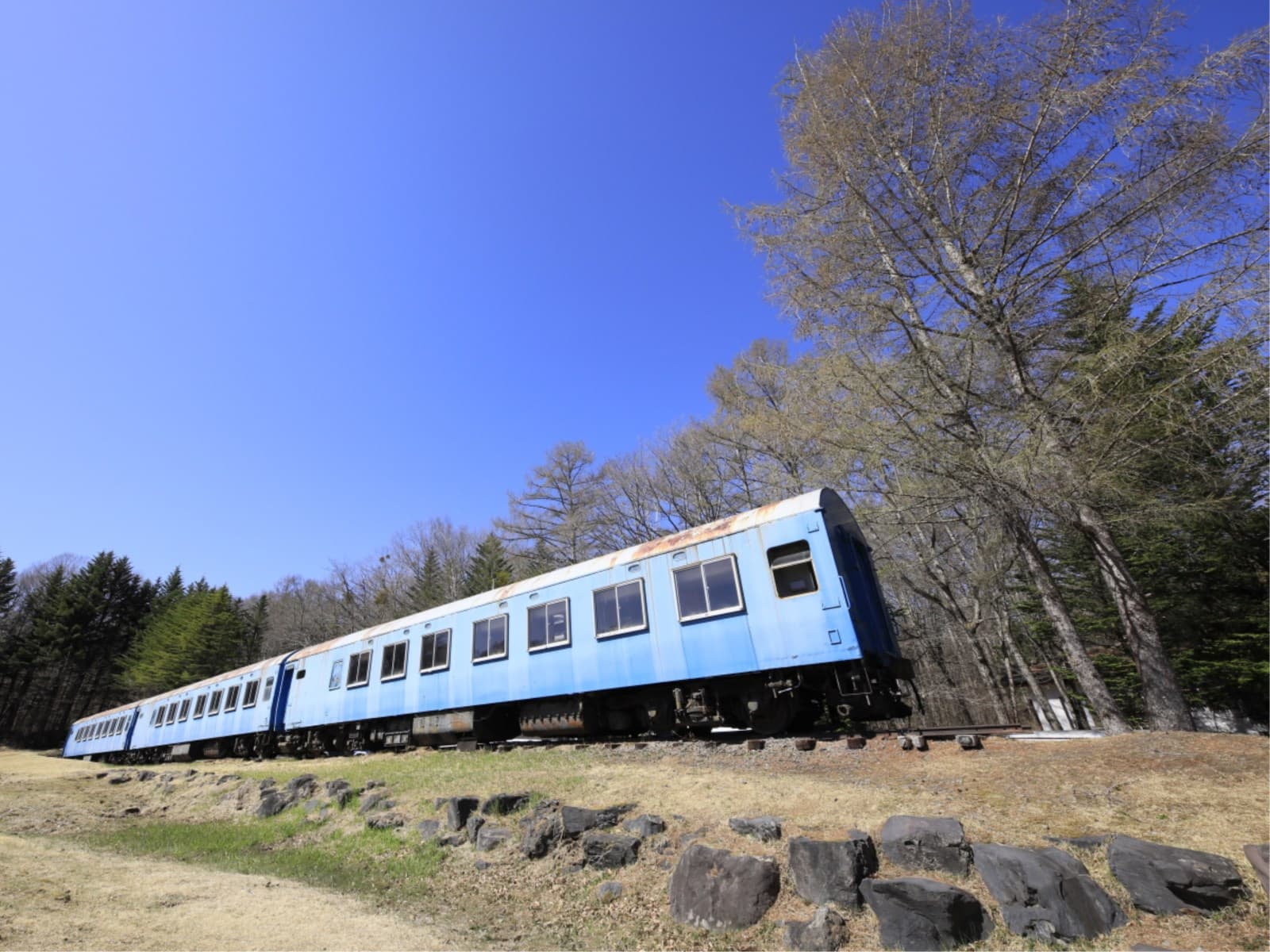 【素泊まり】チェックインは21時までOK/自由気ままに愛犬と旅満喫<食事なし> 画像3