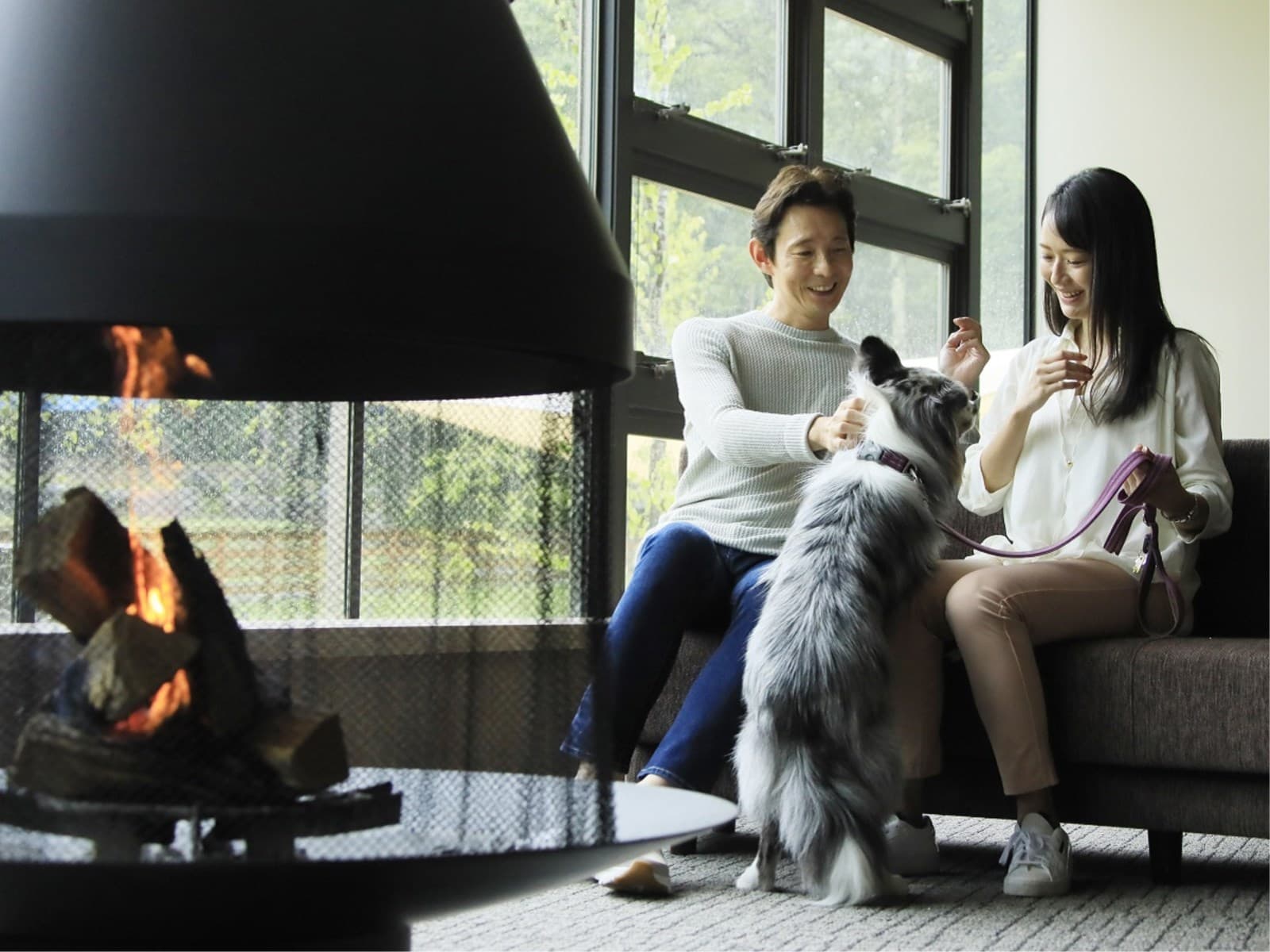 【タイムセール】最大10%OFF!/お食事はほどよく、愛犬と気軽な高原旅<▼ライトコース> 画像2