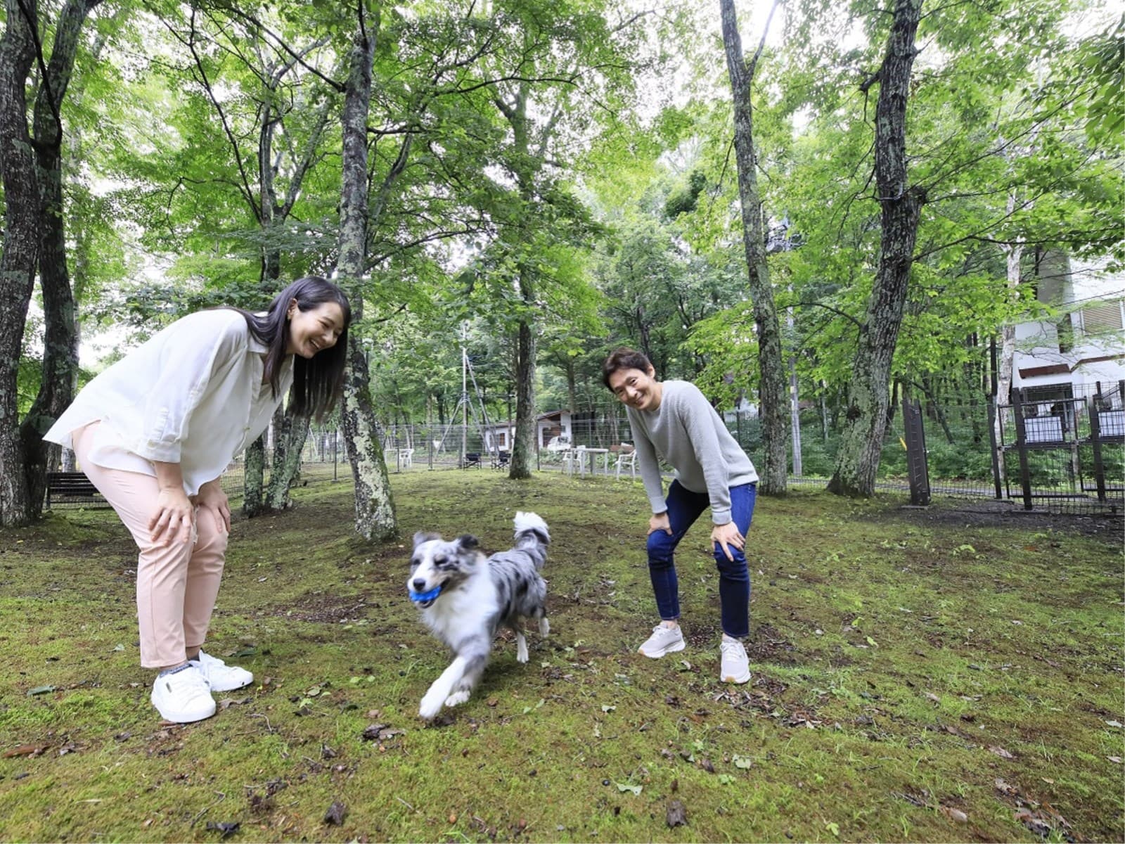 【直前割×基本】直前のご予約でも基本プランでワンちゃんとお得にご旅行<★基本コース> 画像2