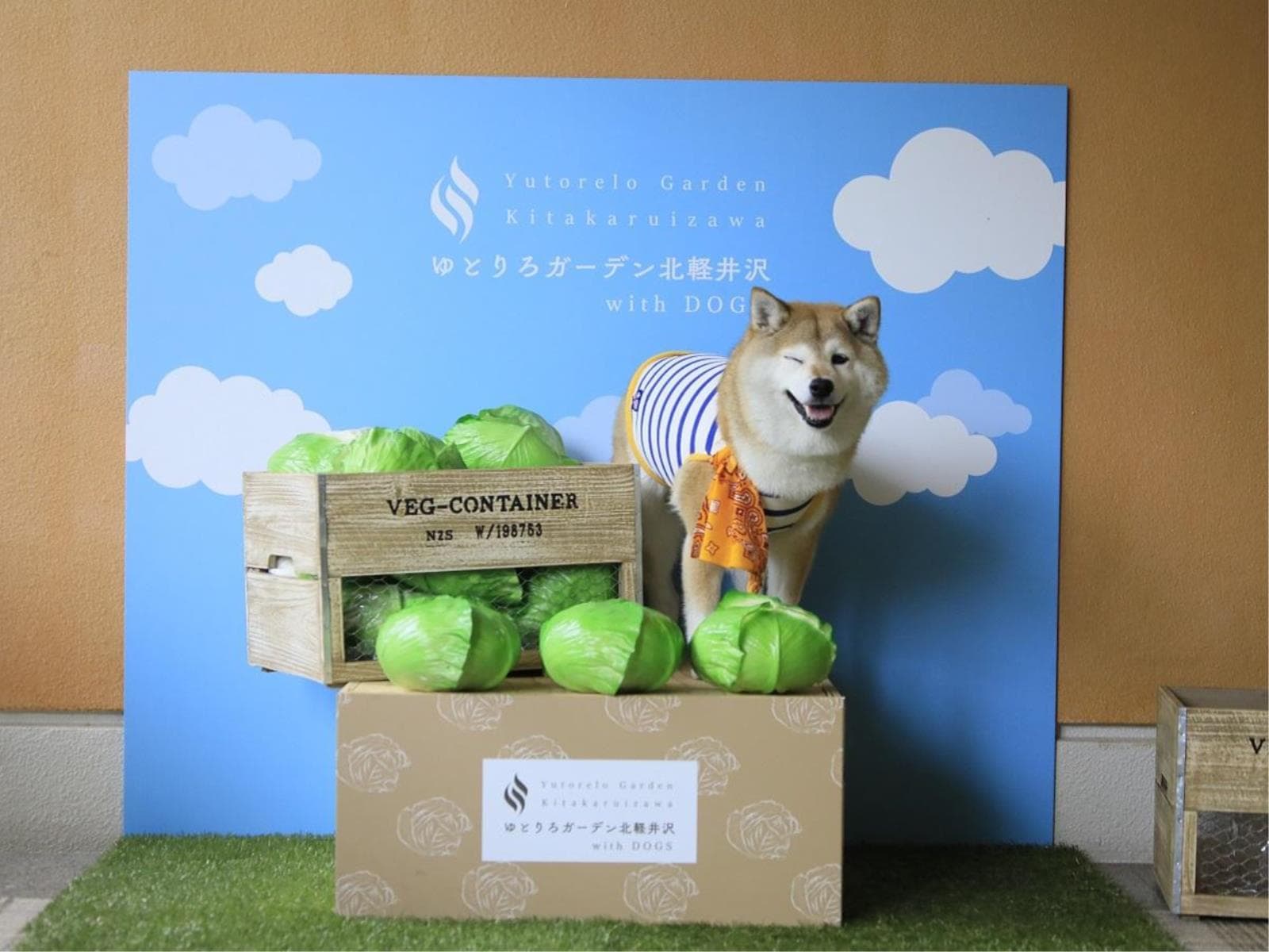 【朝食付×ワンちゃん利用料無料】愛犬連れ旅応援!こだわりの洋朝食をお得に満喫<朝食付き> 画像1