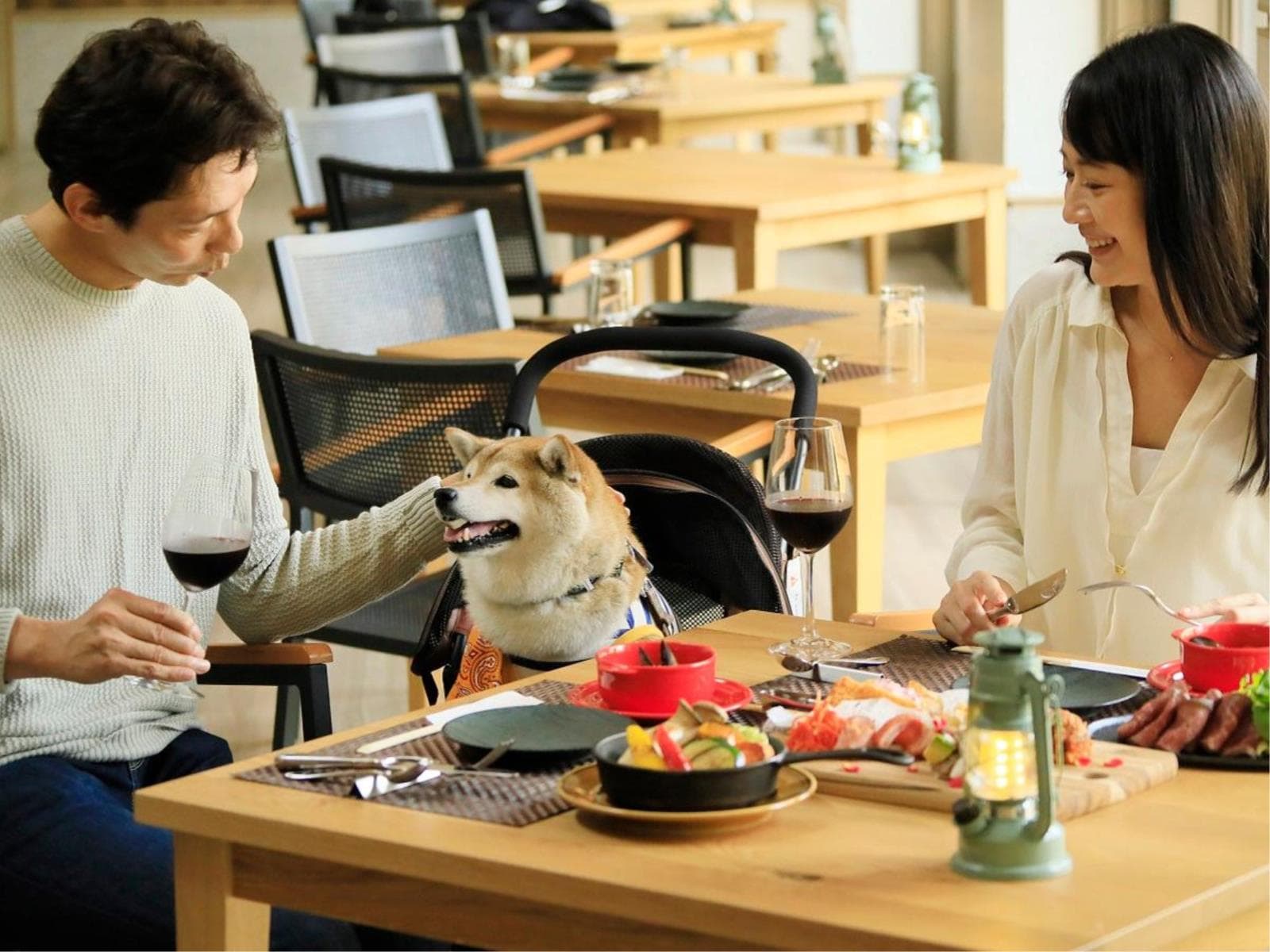 【シニア犬旅応援】お食事無料アップグレード&シニア犬宿泊料無料で愛犬旅<★基本コース> 画像3