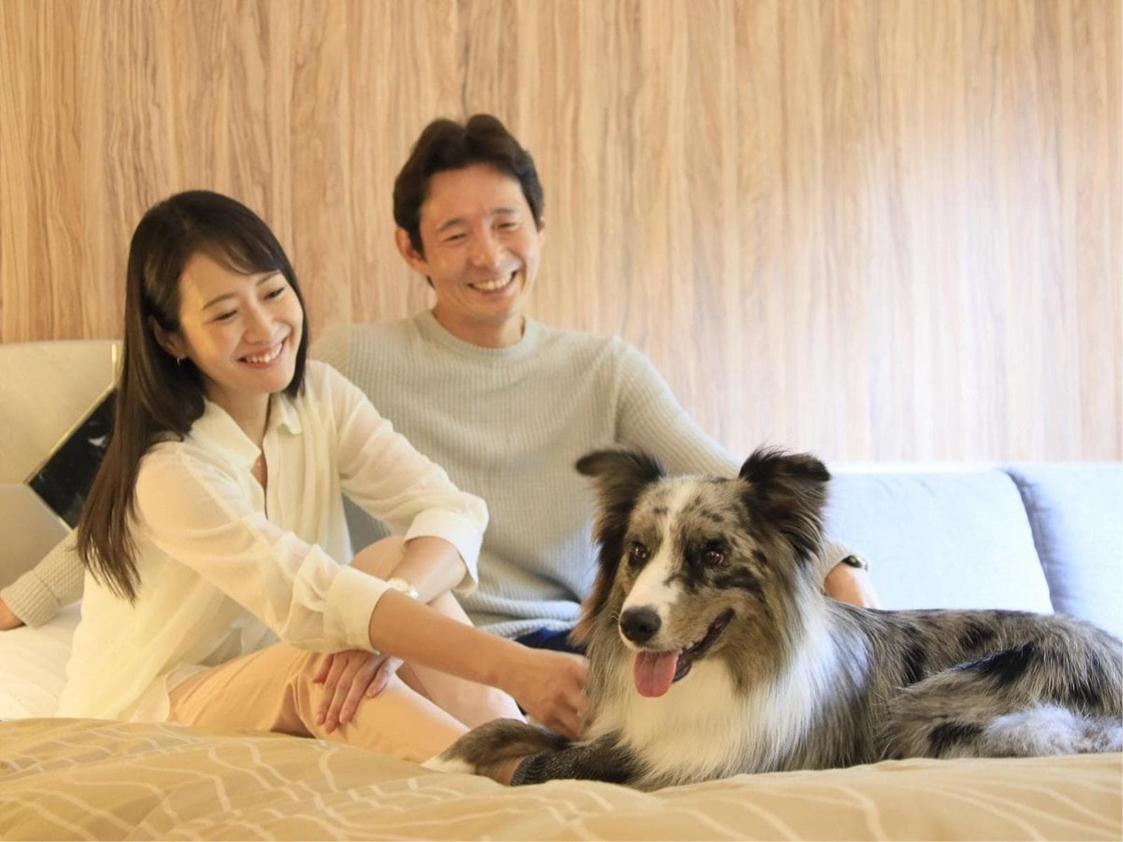 【シニア犬旅応援】お食事無料アップグレード&シニア犬宿泊料無料で愛犬旅<★基本コース> 画像4