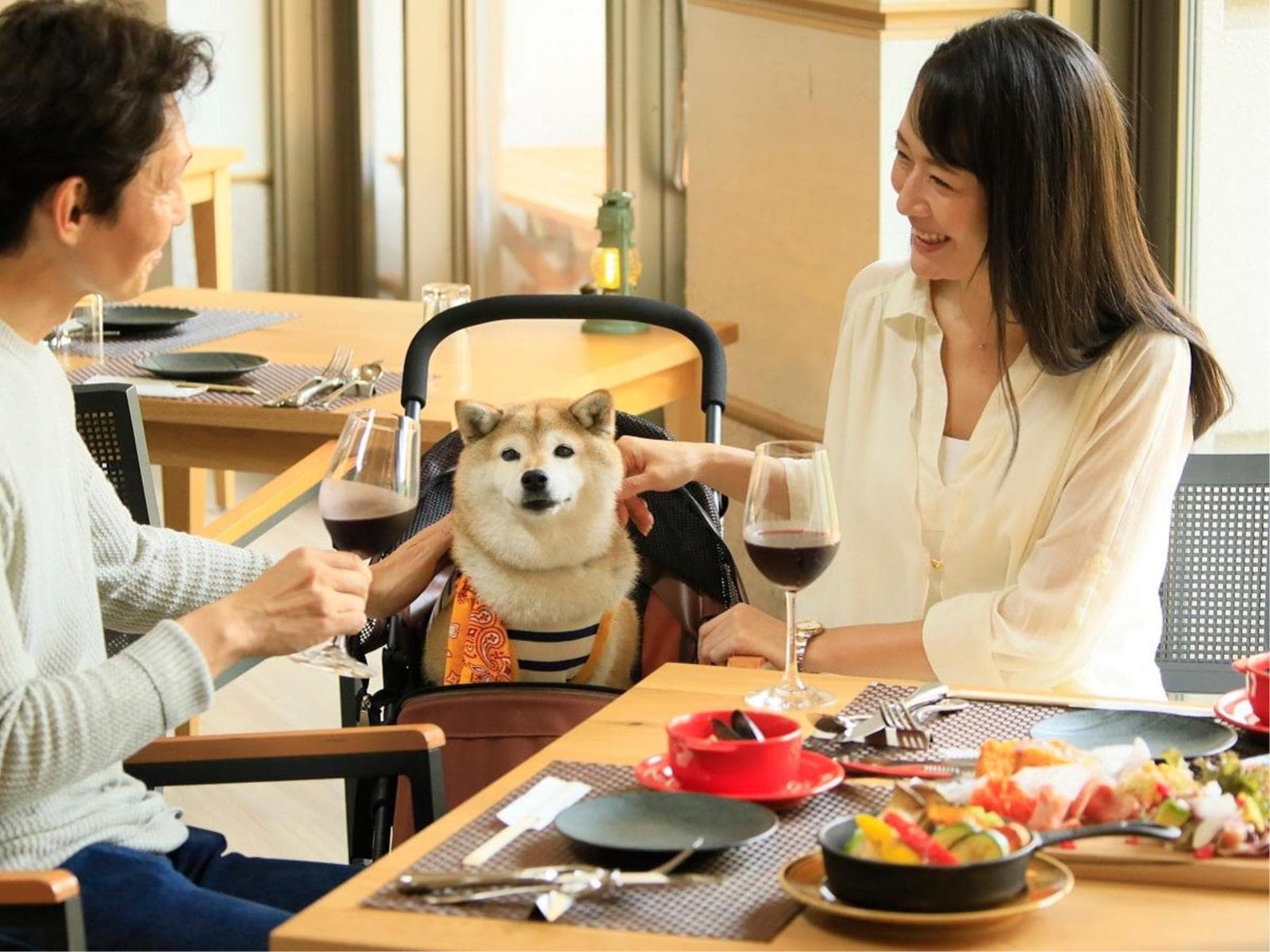 【愛犬ご飯付き×お食事アップグレード】愛犬との旅をお得に満喫<■特選コース> 画像2