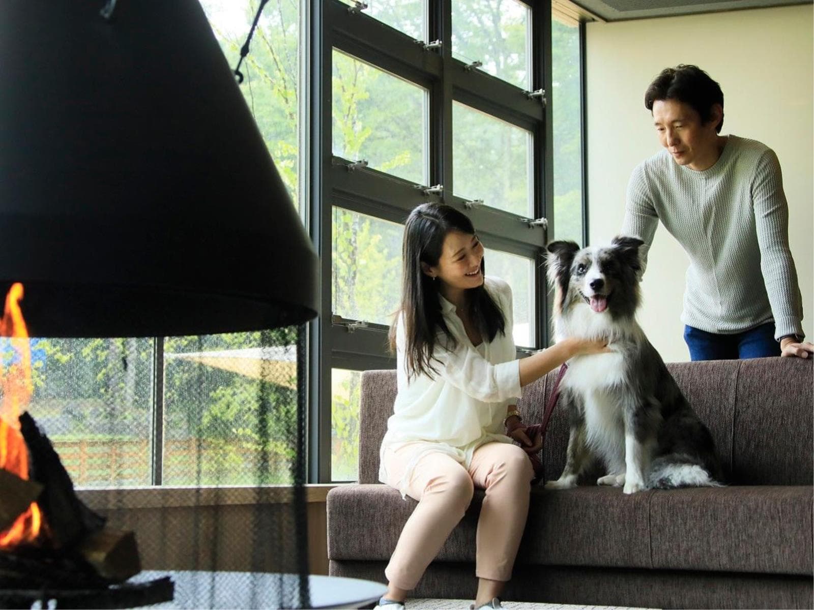 【早期割20】お一人様3300円引き&愛犬利用料半額でお得に先取り<★基本コース> 画像2