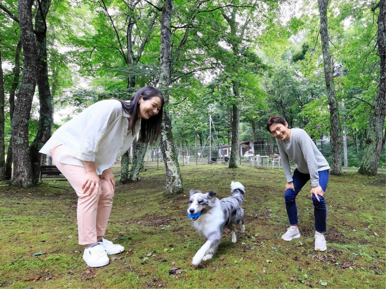 【1日1室限定】高原で信州ワインを満喫!~愛犬と泊まる癒しの旅~<■特選コース> 画像5