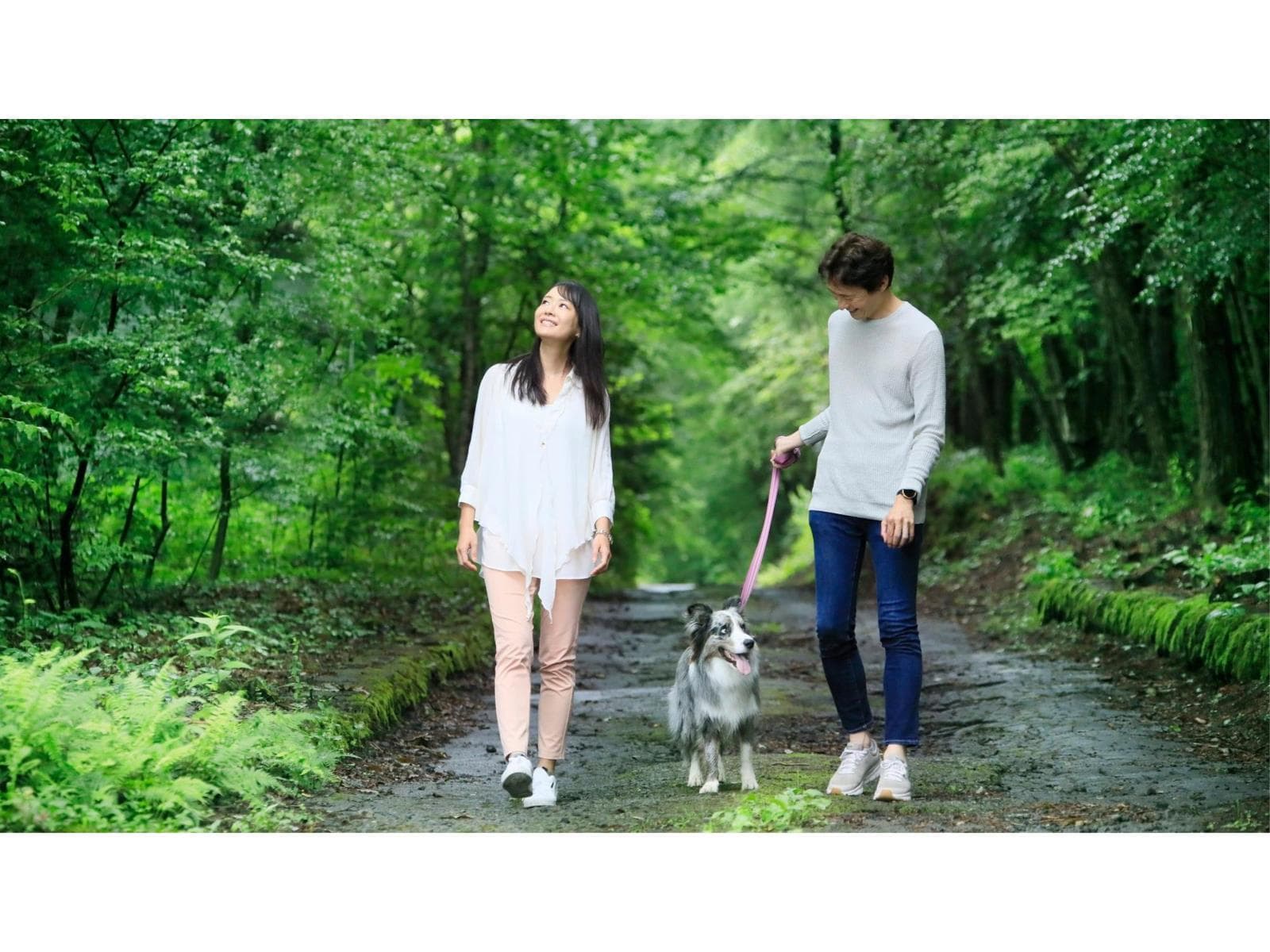 【訳あり×特選】<エアコン故障のため特別価格>当館の最上級コースを楽しむ<■特選コース> 画像3