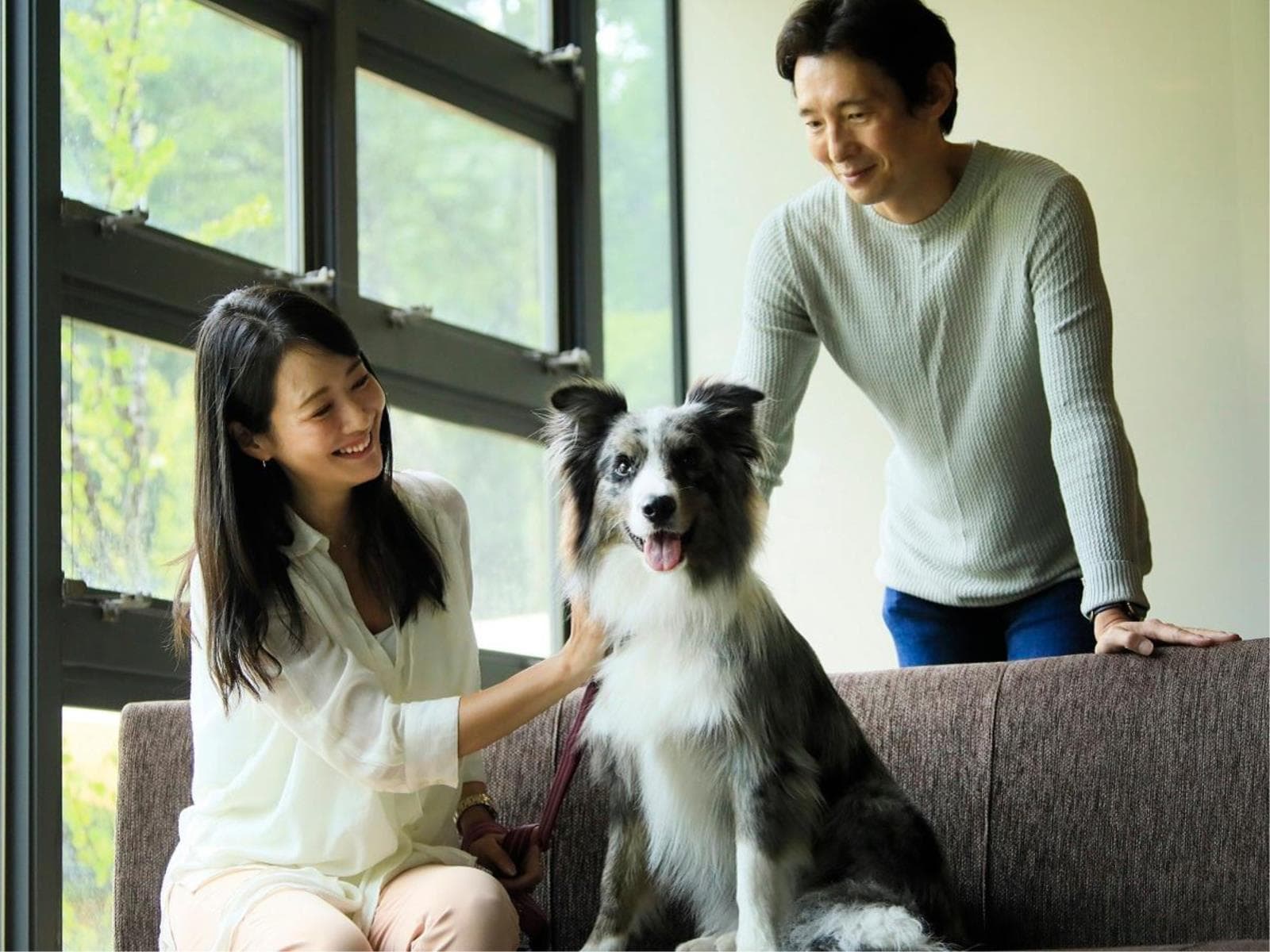 【訳あり×基本】<エアコン故障のため特別価格>当館の人気コースを楽しむ<★基本コース> 画像2