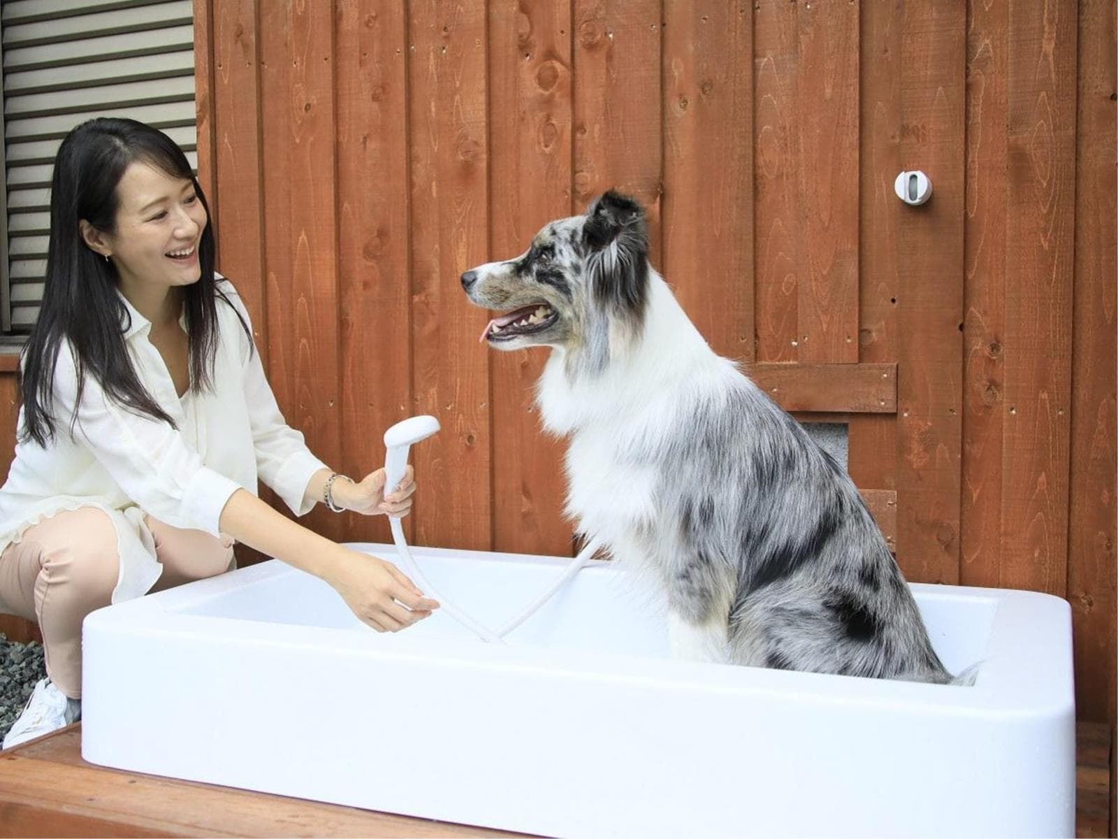 【訳あり×基本】<エアコン故障のため特別価格>当館の人気コースを楽しむ<★基本コース> 画像4