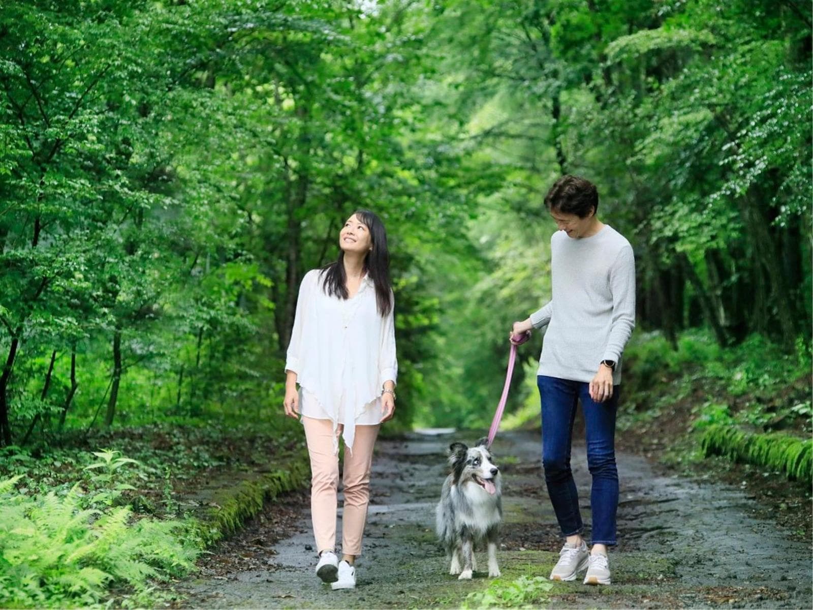 【訳あり×ライト】<エアコン故障のため特別価格>お手軽コースを楽しむ<▼ライトコース> 画像4