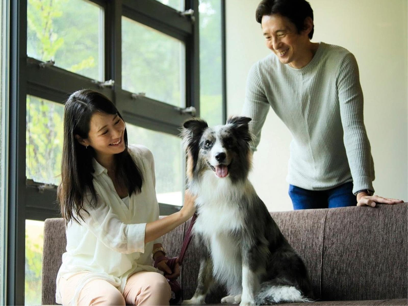 【訳あり×素泊まり】<エアコン故障のため特別価格>愛犬と一緒に北軽井沢を満喫<素泊まり> 画像1