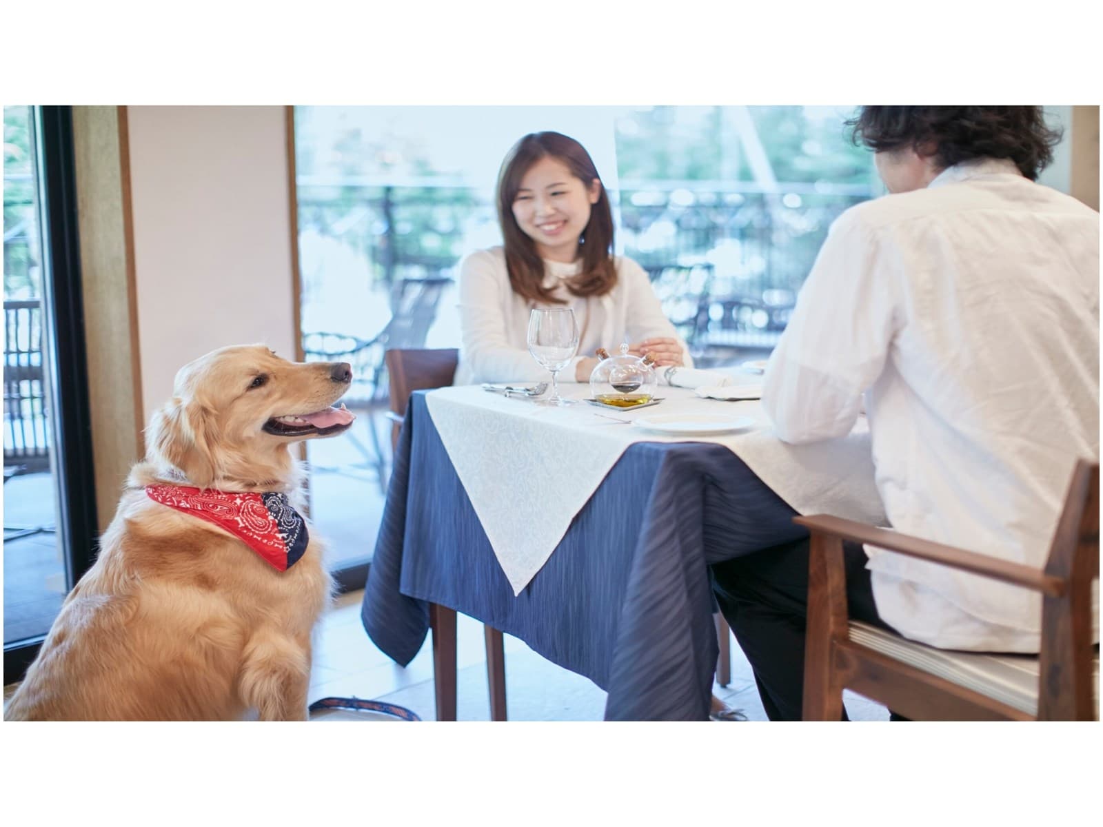 ★ペット同伴ルーム★【直前割/2食付】直前のご予約で最大5%OFF~わんちゃん宿泊費無料~ 画像5
