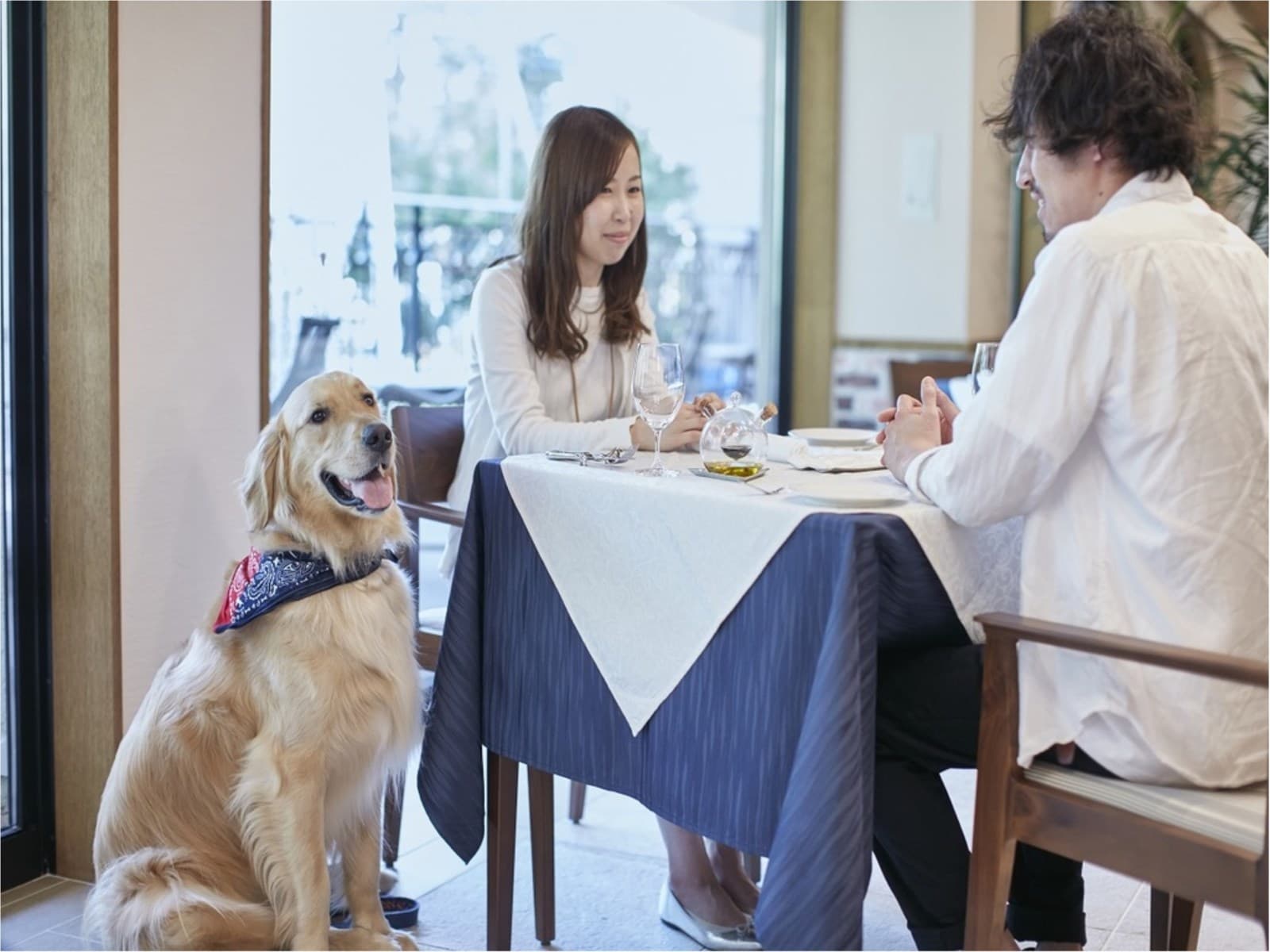 ★ペット同伴ルーム★【基本/朝食付】愛犬と旧軽井沢散策!~わんちゃん宿泊費無料~ 画像4