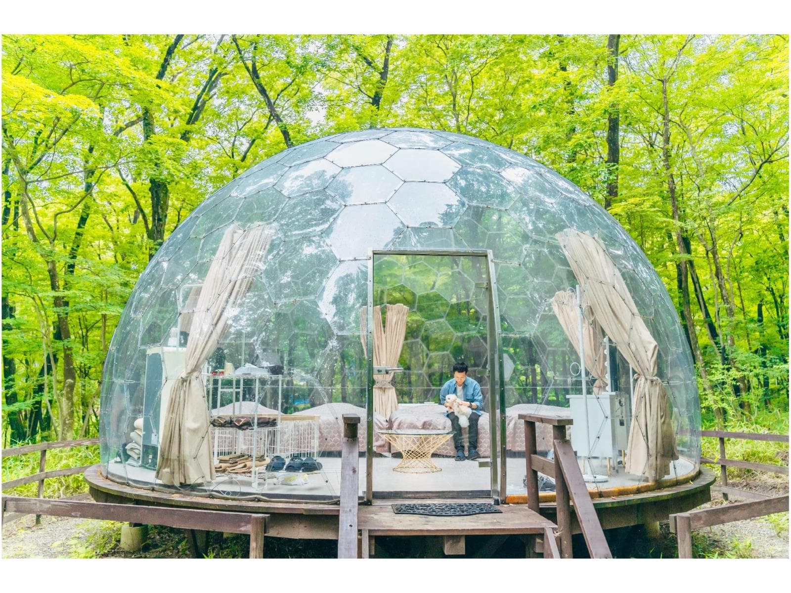 大人の数までお子様宿泊料金無料!【那須ハイランドパーク1日乗放題券付き!】|1泊2食付きプラン 画像1