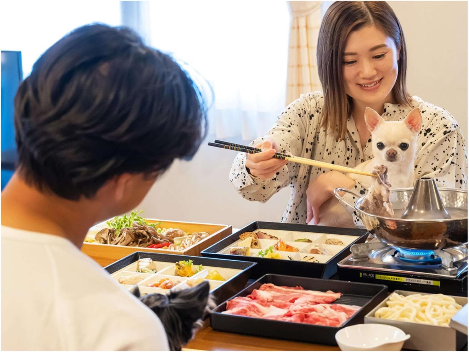 【部屋食プラン/怖がりな愛犬も安心】地産ブランド牛をしゃぶしゃぶを贅沢に♪小型犬~超大型犬<ペット可 画像1