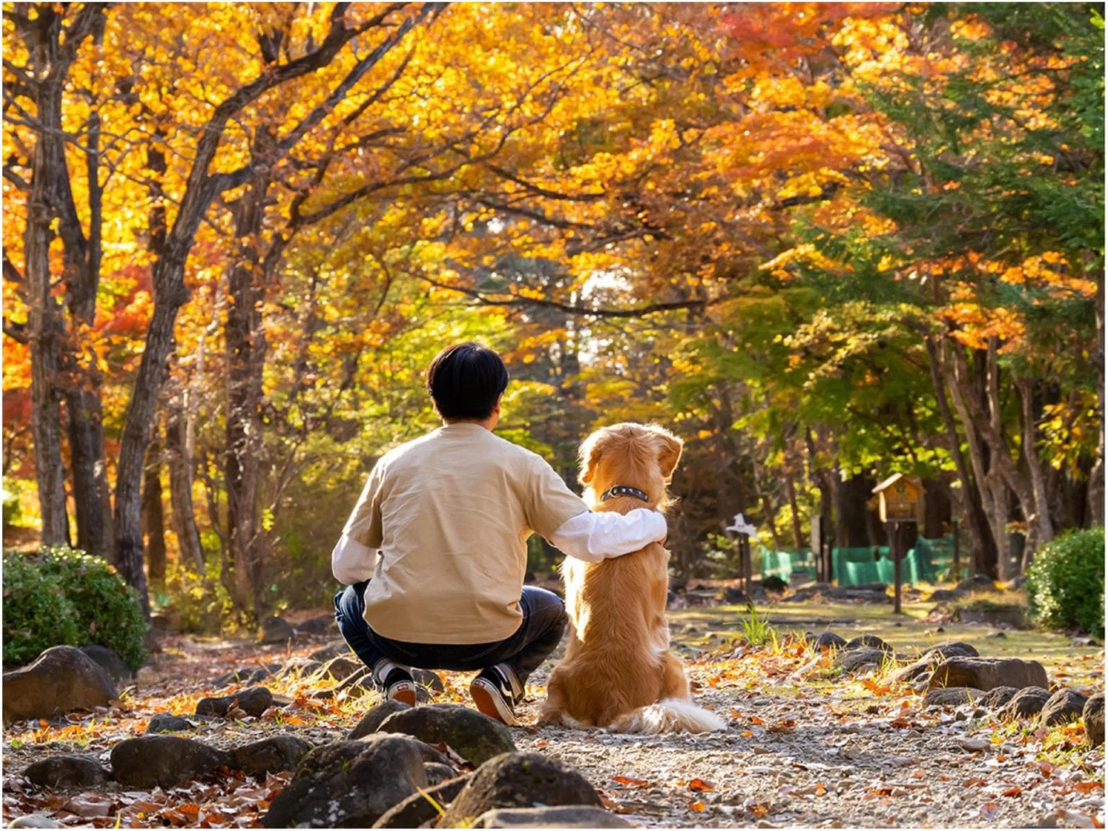 【素泊まり/コテージ】ワンちゃんファーストな宿で愛犬とリゾートを満喫♪ワンコ用の備品も充実<ペット可 画像1