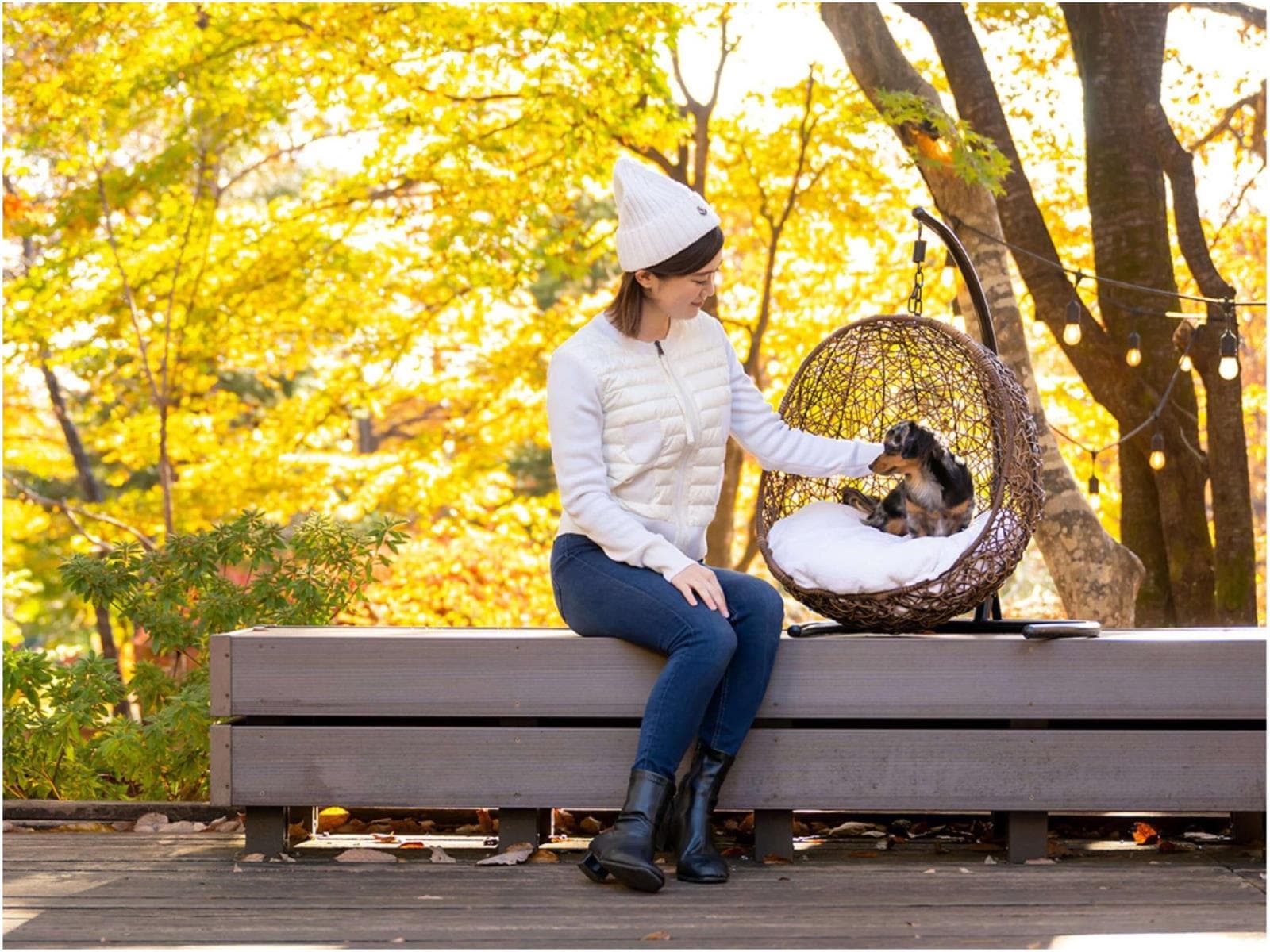 【一人旅プラン】愛犬と大自然の中で楽しむ、癒しの時間♪ドッグラン&ペット用品あり<レストラン食> 画像2