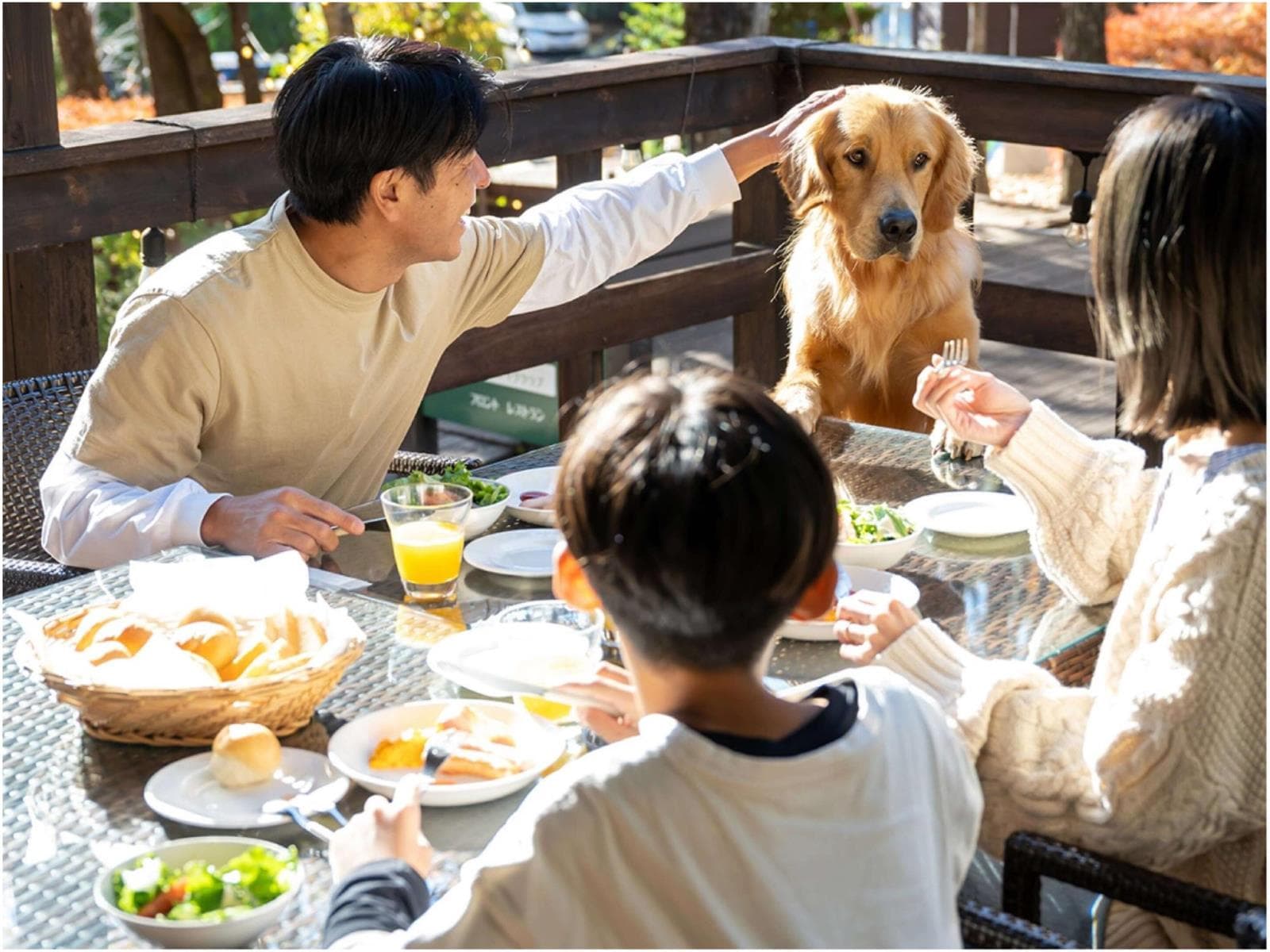 【朝食ビュッフェ/ペット同伴OK】地元食材「三元豚&御養卵」ほか、できたて朝食ビュッフェで贅沢な朝を 画像2