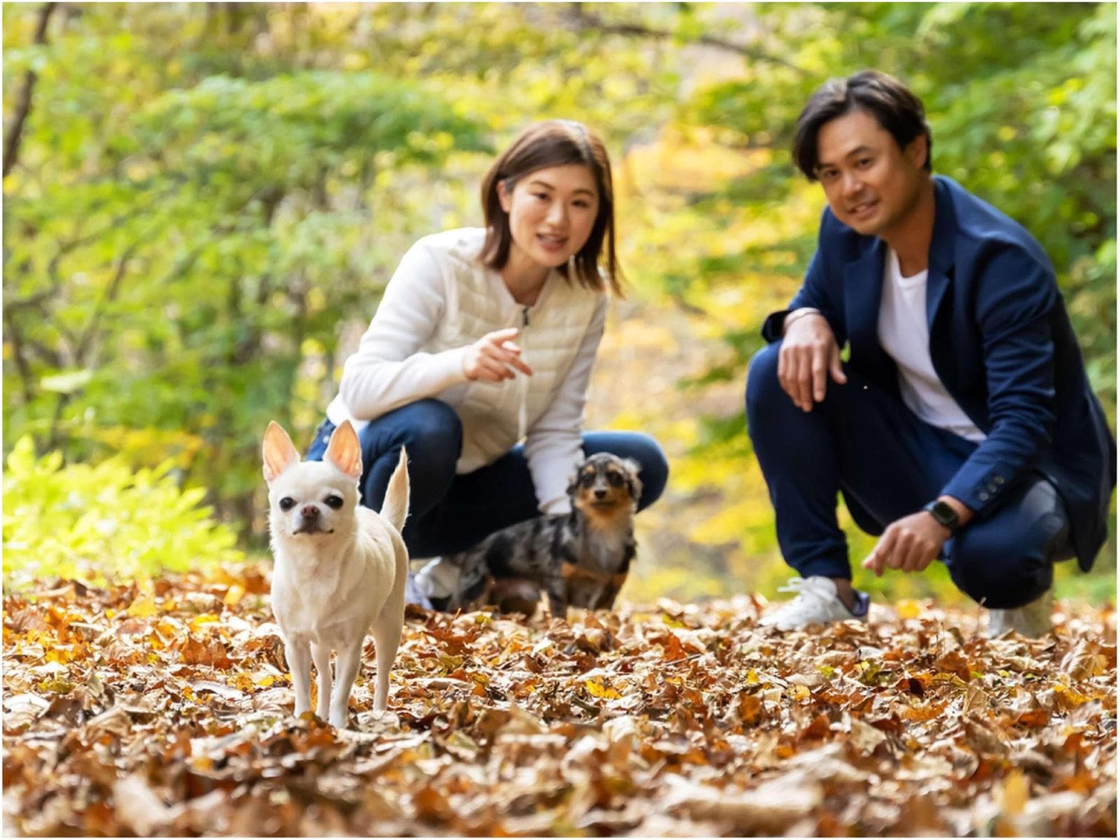 【グレードアップ★しゃぶしゃぶプラン】2種の牛肉を食べ比べ♪部屋食で愛犬とゆっくり味わえる(2食付) 画像3