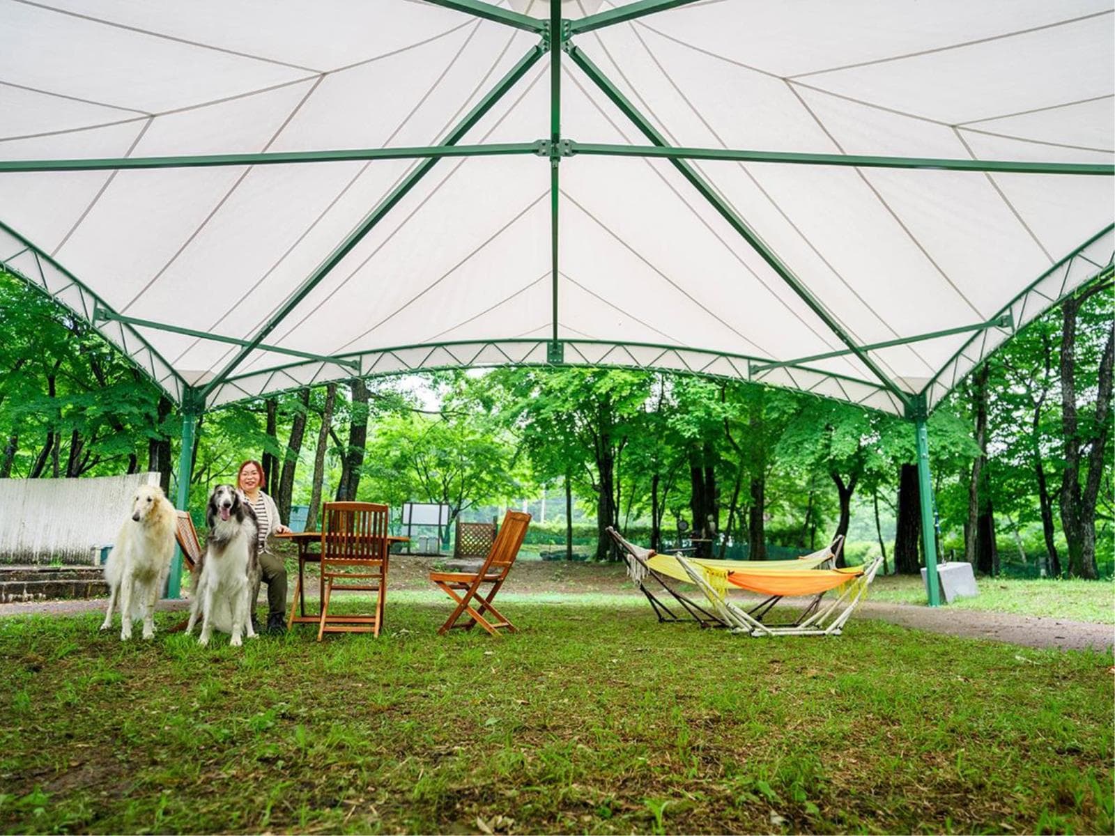【早割90】早めの予約で1人3000円OFF★★夕食はお部屋食で愛犬も安心♪<栃木県産牛のすき焼き> 画像4