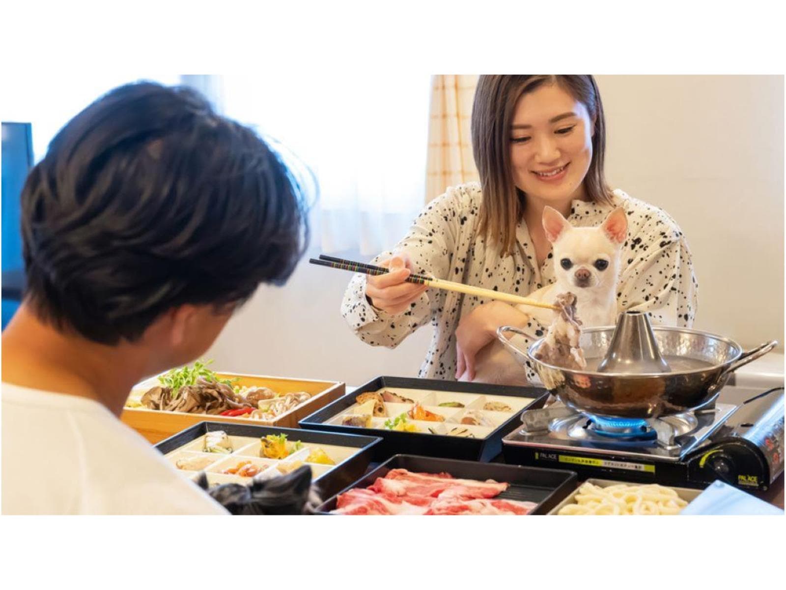 【猫ちゃん専用】愛猫と一緒に泊まれる!猫ちゃん用の備品充実プラン〈1泊2食・部屋食〉 画像5