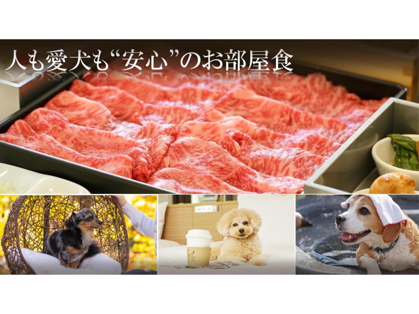 【猫ちゃん専用】愛猫と一緒に泊まれる!猫ちゃん用の備品充実プラン〈1泊2食・部屋食〉 画像3