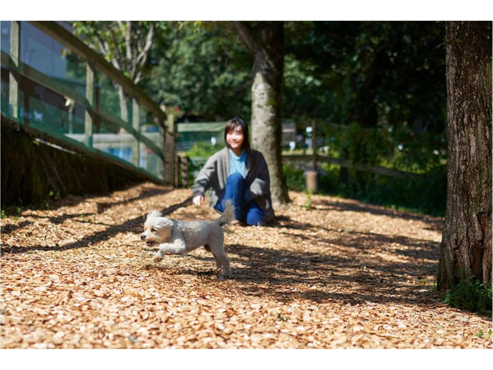 【ReOPEN記念】通常プランより最大20%OFF!愛犬と過ごす、心やすらぐ那須の湯宿【朝夕食付き】 画像4