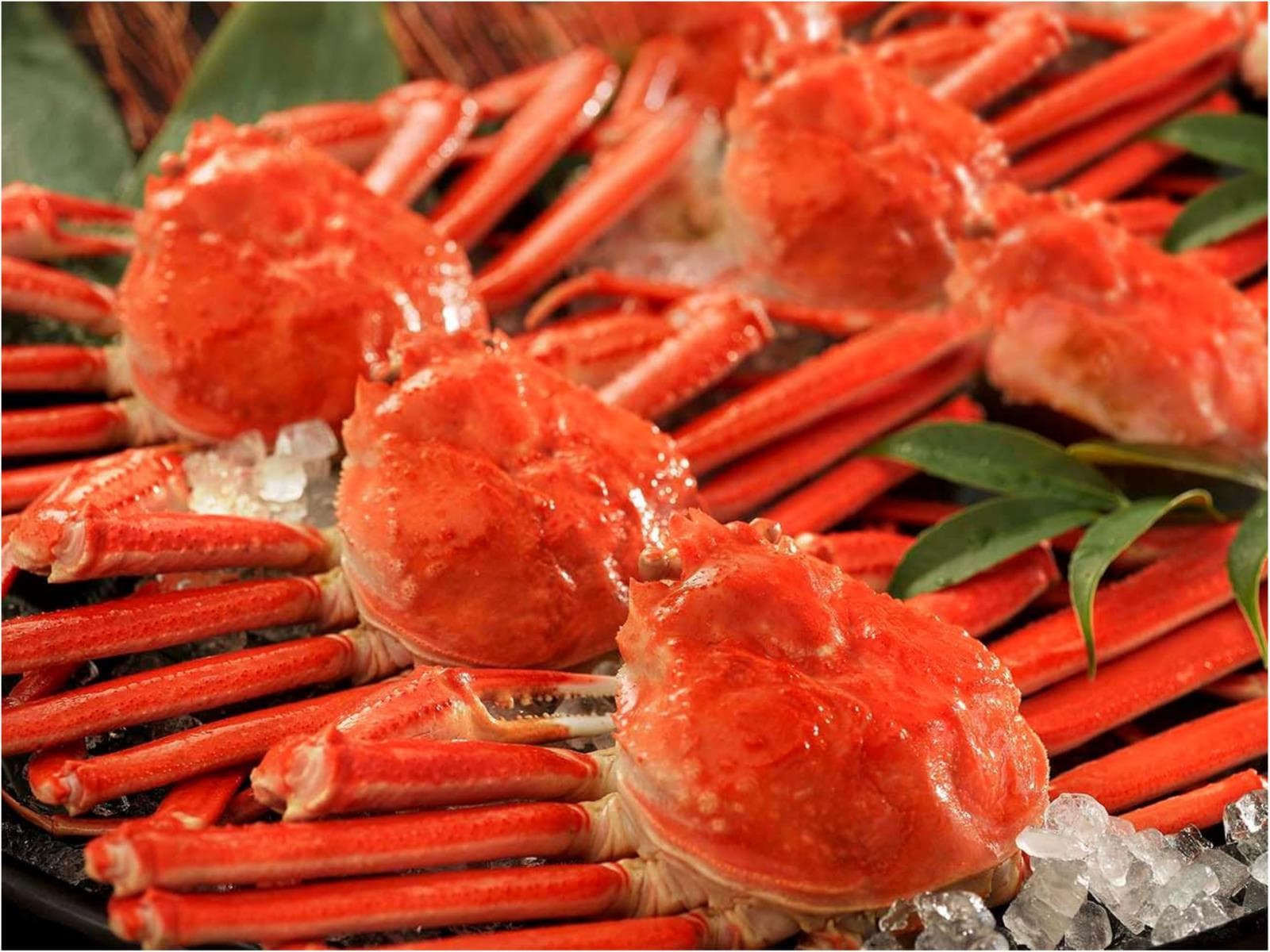 【特定日】【グルメプラン】本ズワイガニ姿まるごと食べ放題付1泊2食 基本バイキングプラン 画像1