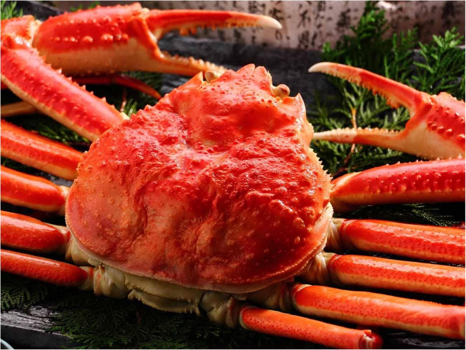 【特定日】【グルメプラン】本ズワイガニ姿1杯付1泊2食 基本バイキングプラン 画像1