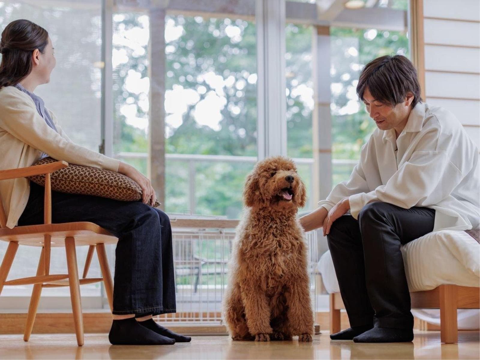 ワンワンの日♪ワンちゃんの宿泊代が無料♪【スタンダード会席】 画像3